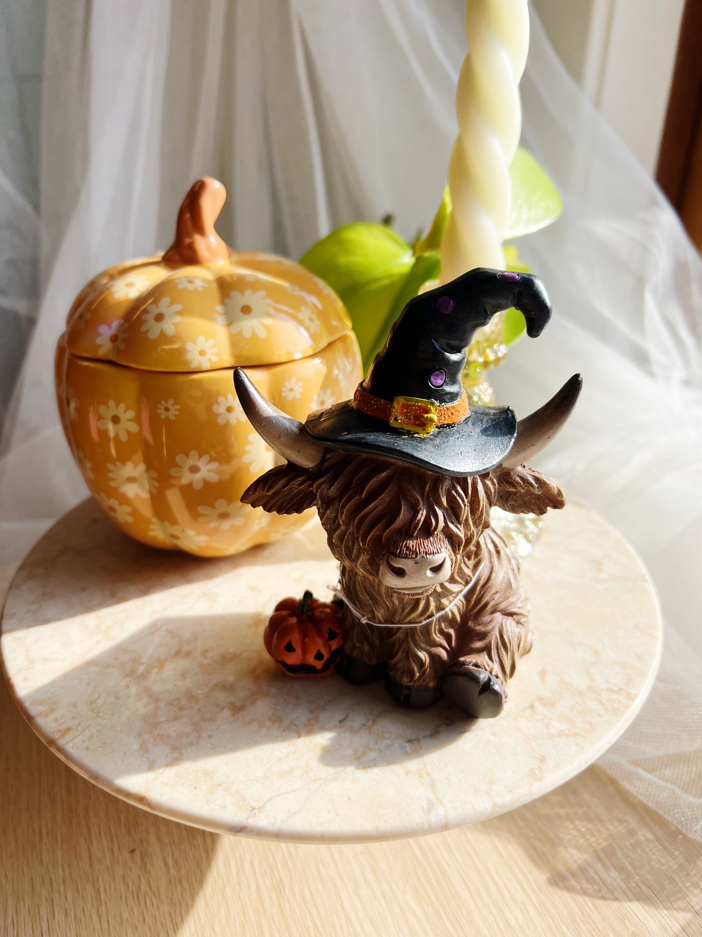Halloween-Kuer