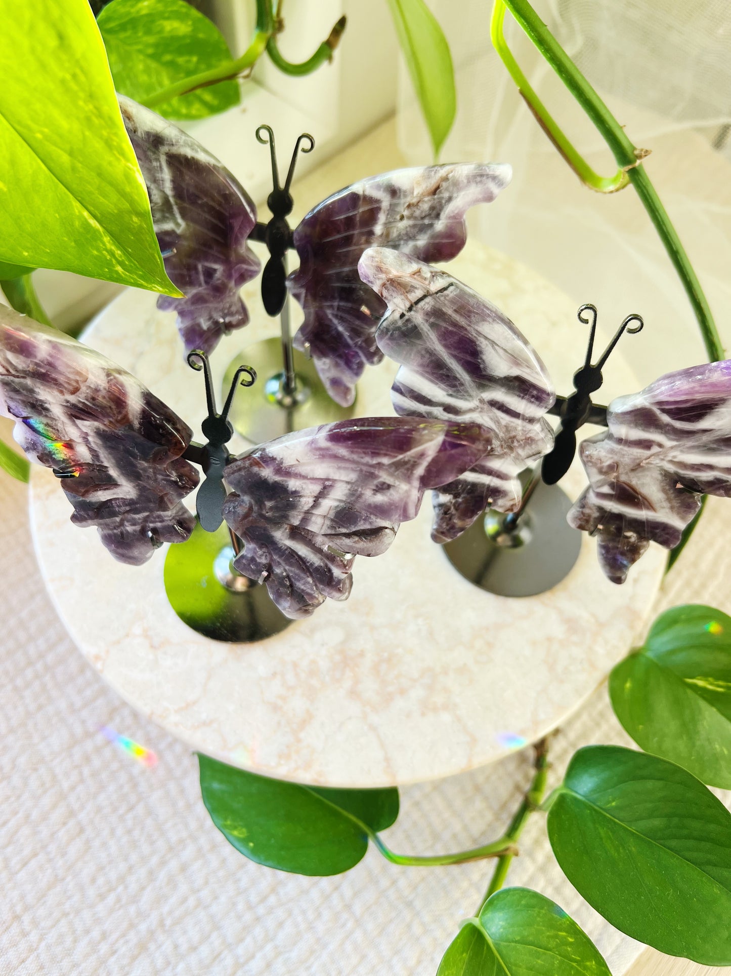 Chevron Ametyst Butterfly Krystall på stativ