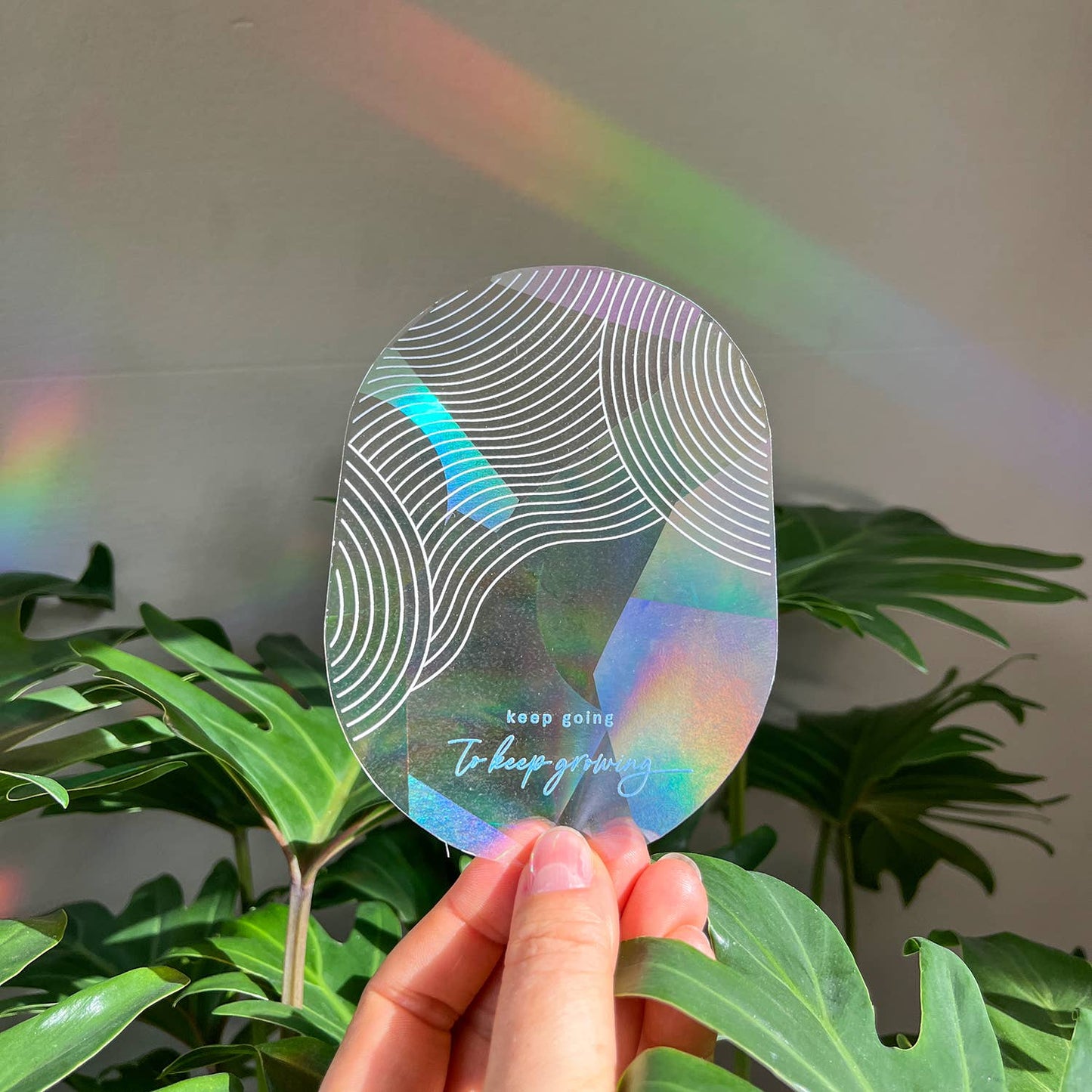 Suncatcher - Keep going to keep growing