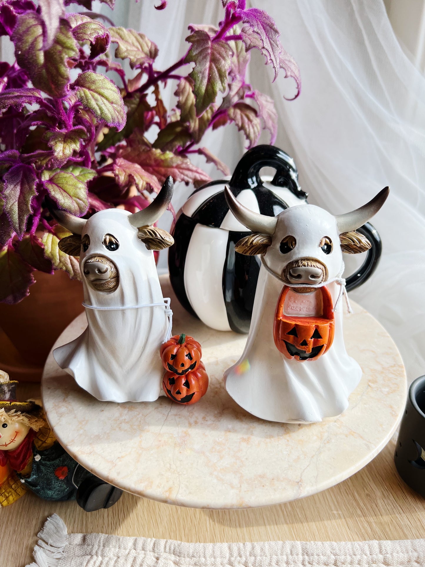 Halloween Spøkelses-Kuer