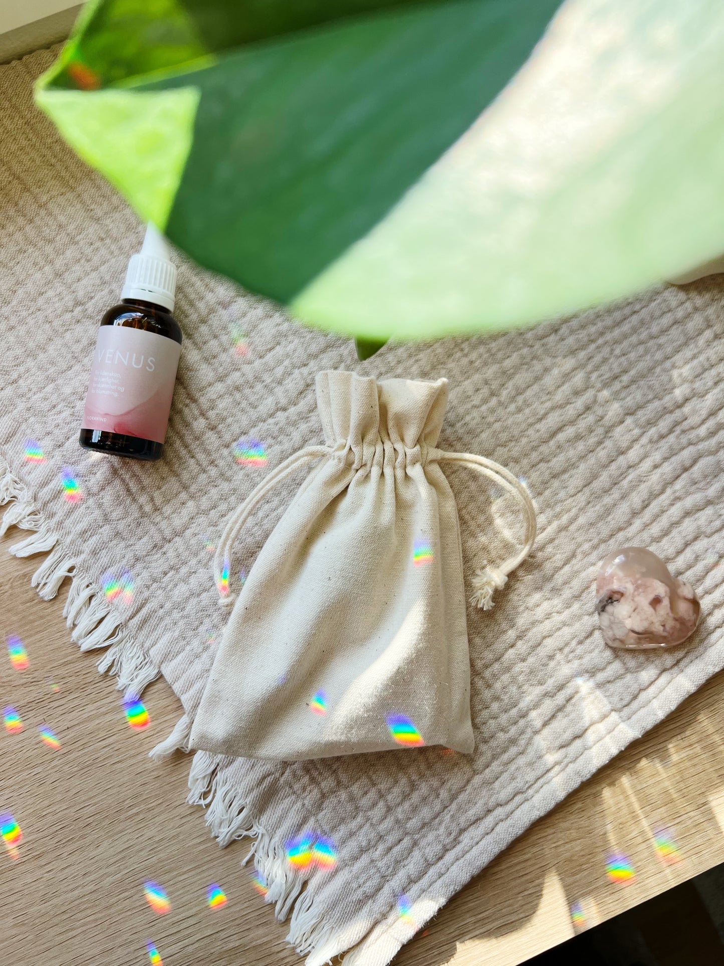 Palo Santo og Salvie Kit