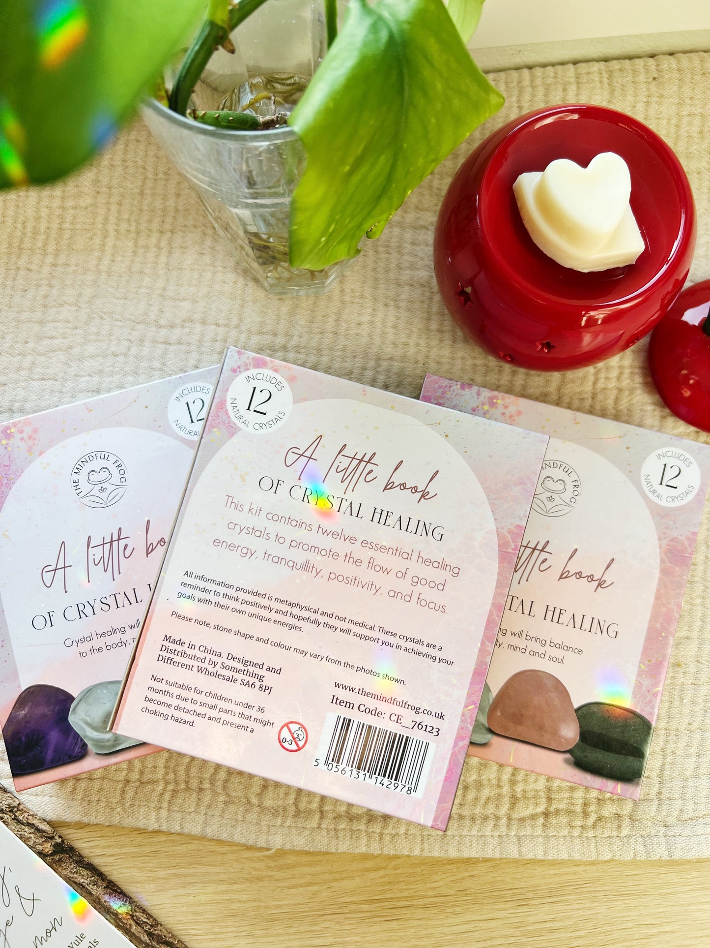 The Little Book of Crystal Gavesett