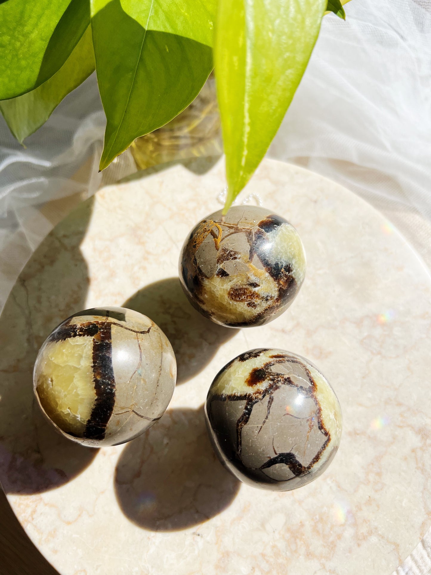 Septarian Krystallsopp 200g