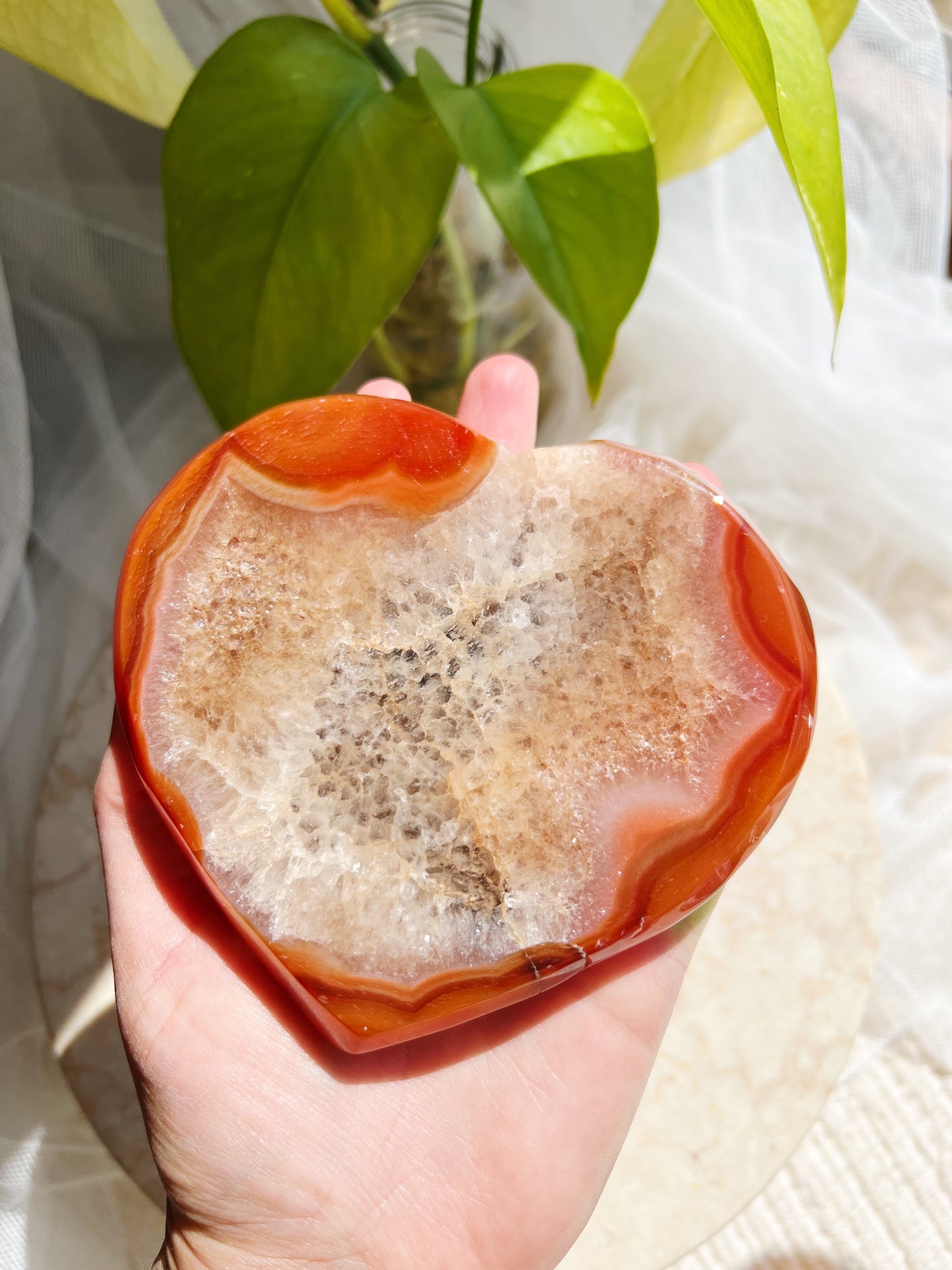 Karneol Druzy Hjerte på stativ #14 305g