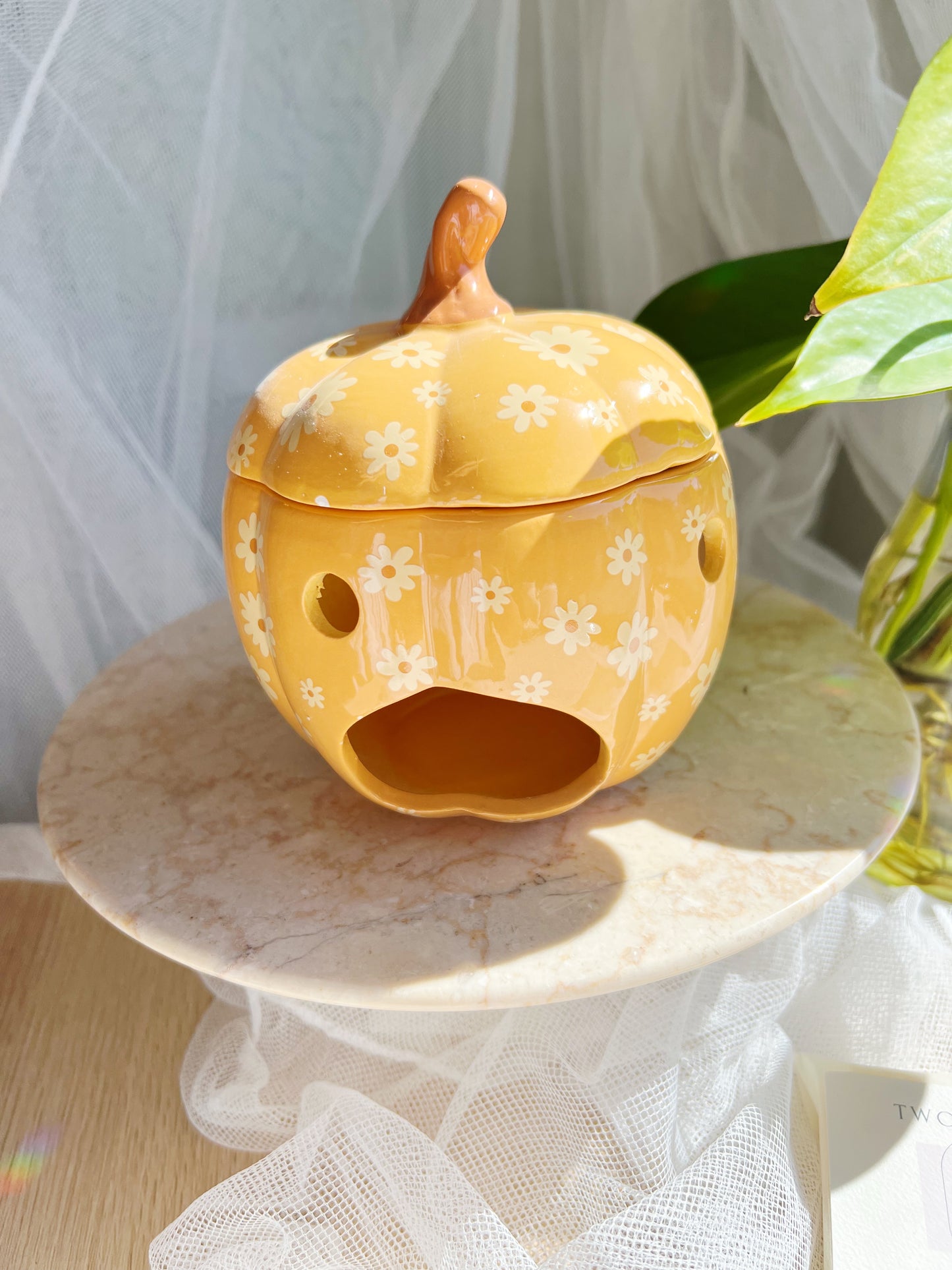 Groovy Pumpkin olje/Wax melt Brenner