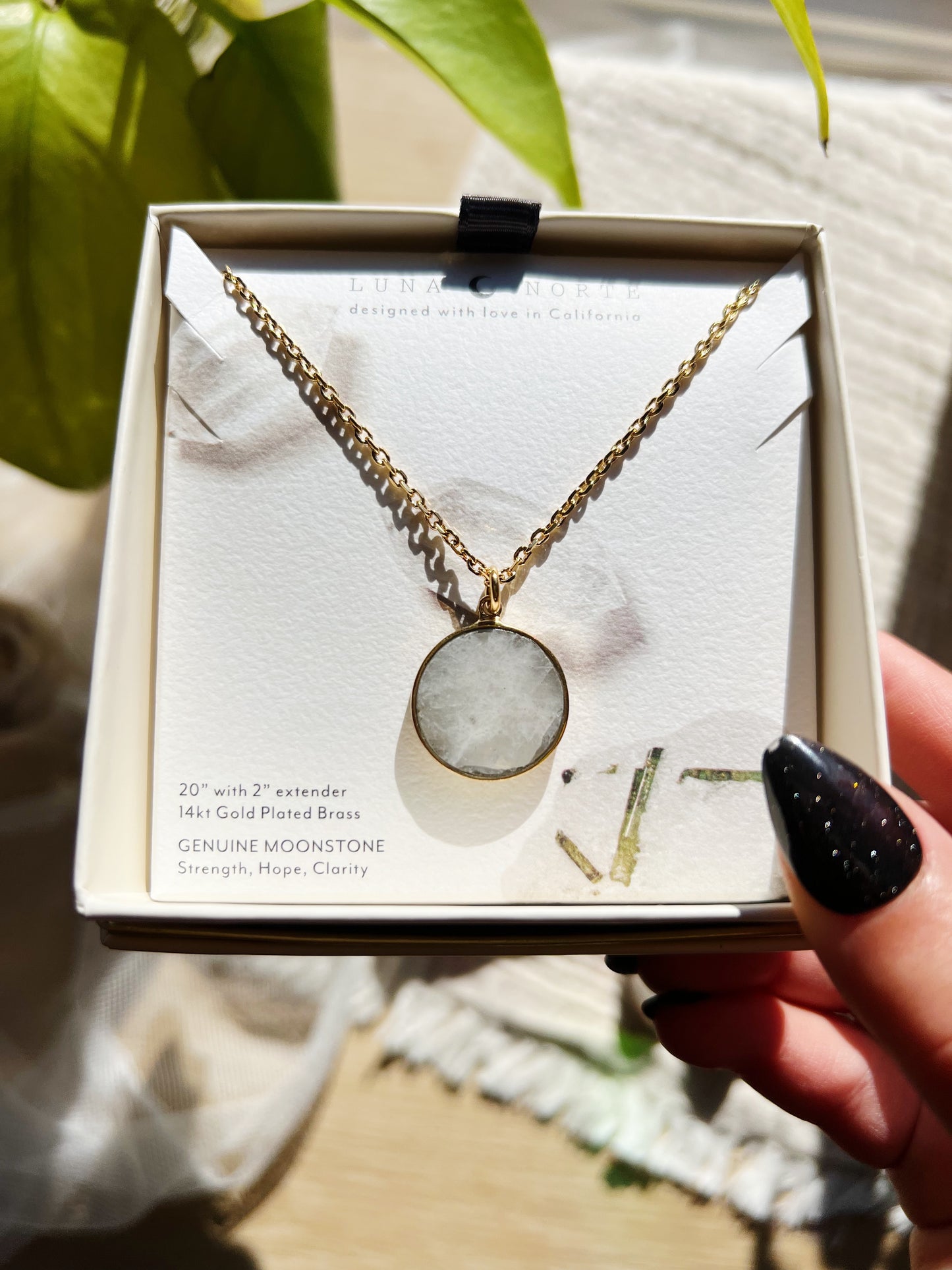 Afterglow Mini Long Medallion Halskjede - Moonstone