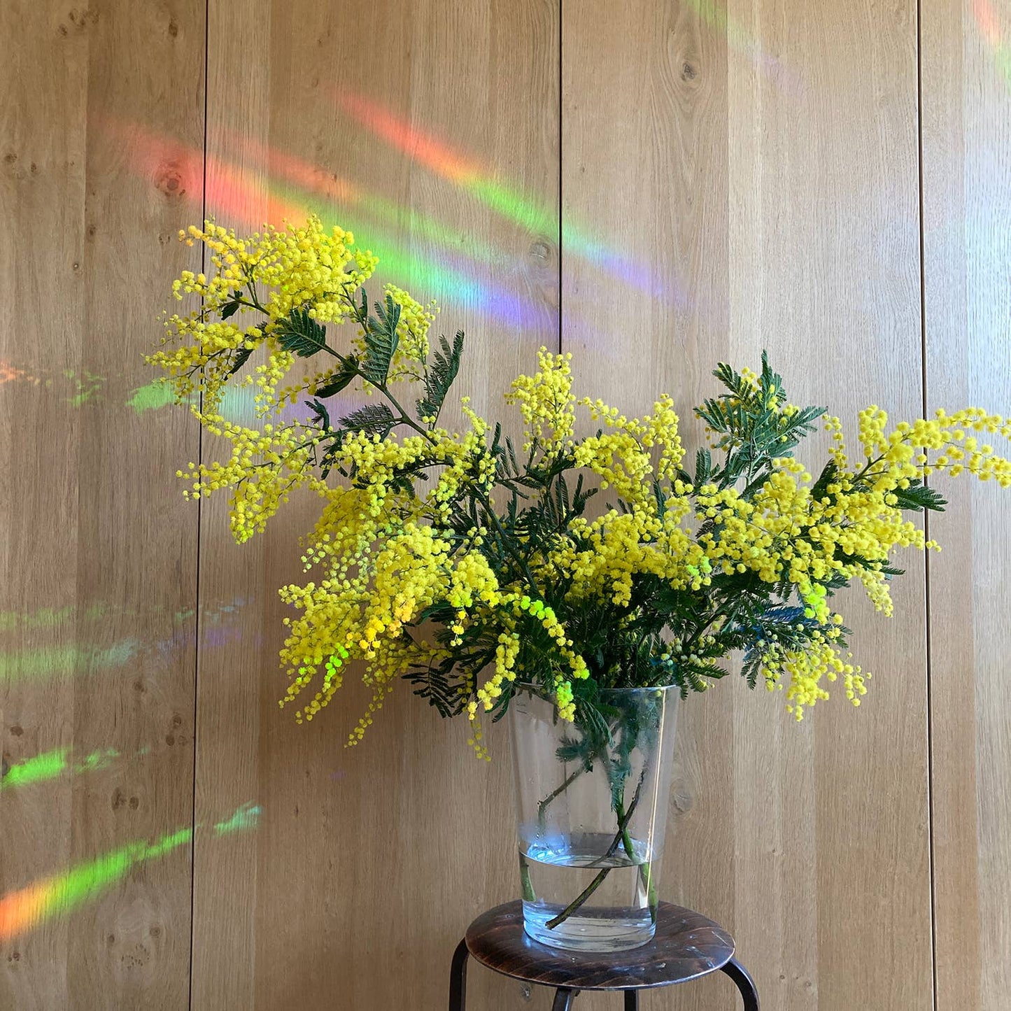 Suncatcher - Keep going to keep growing