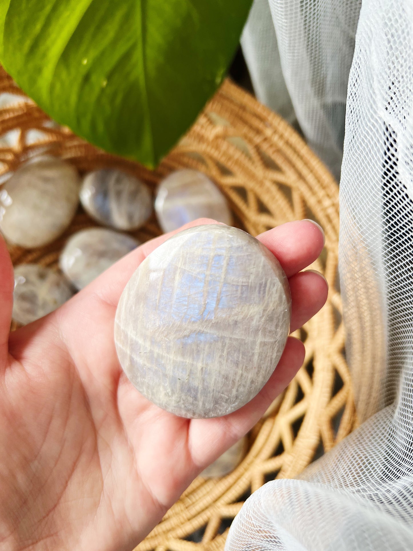 Månestein Palm stone