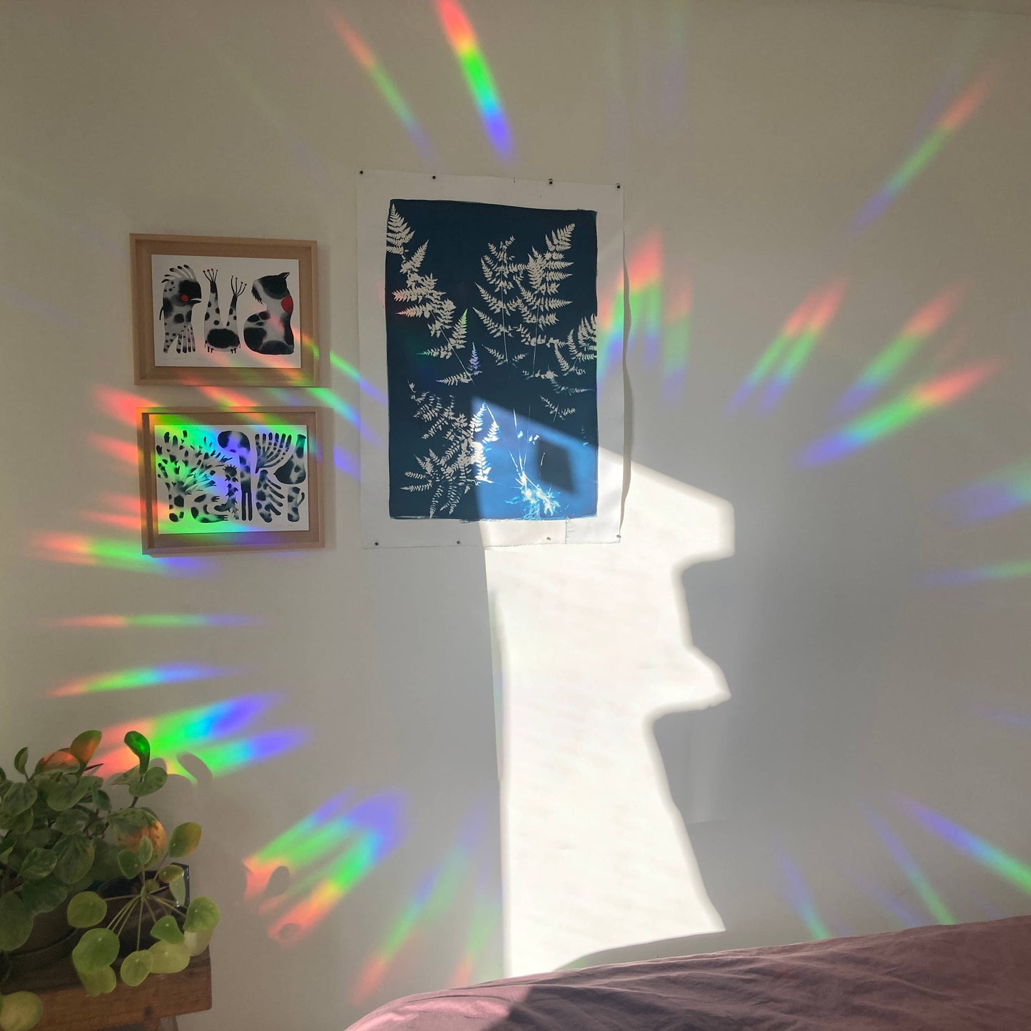 Suncatcher - You're made of magic