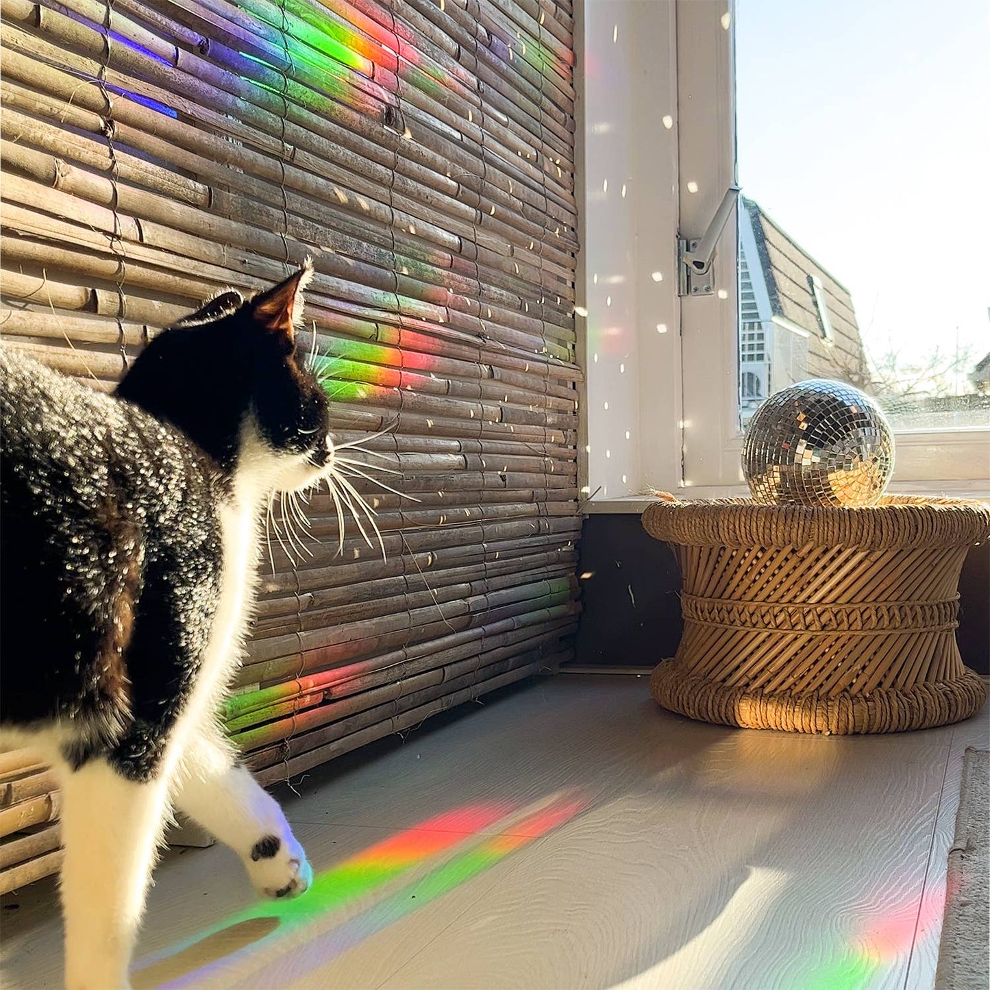 Suncatcher - Keep going to keep growing