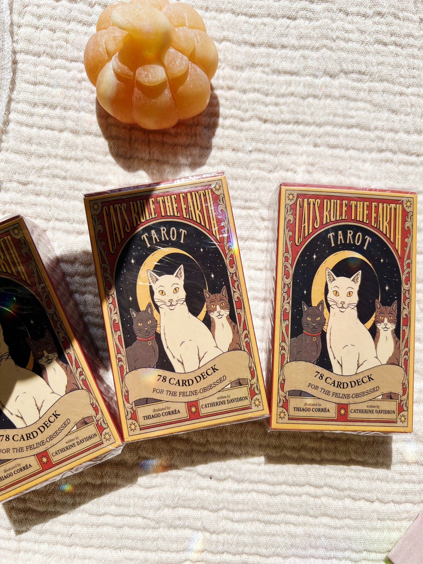 Cats Rule The Earth Tarot
