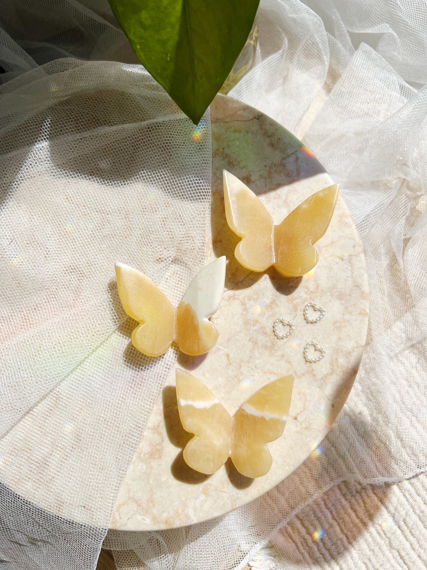 Gul Kalsitt Sommerfulg 6x5 cm