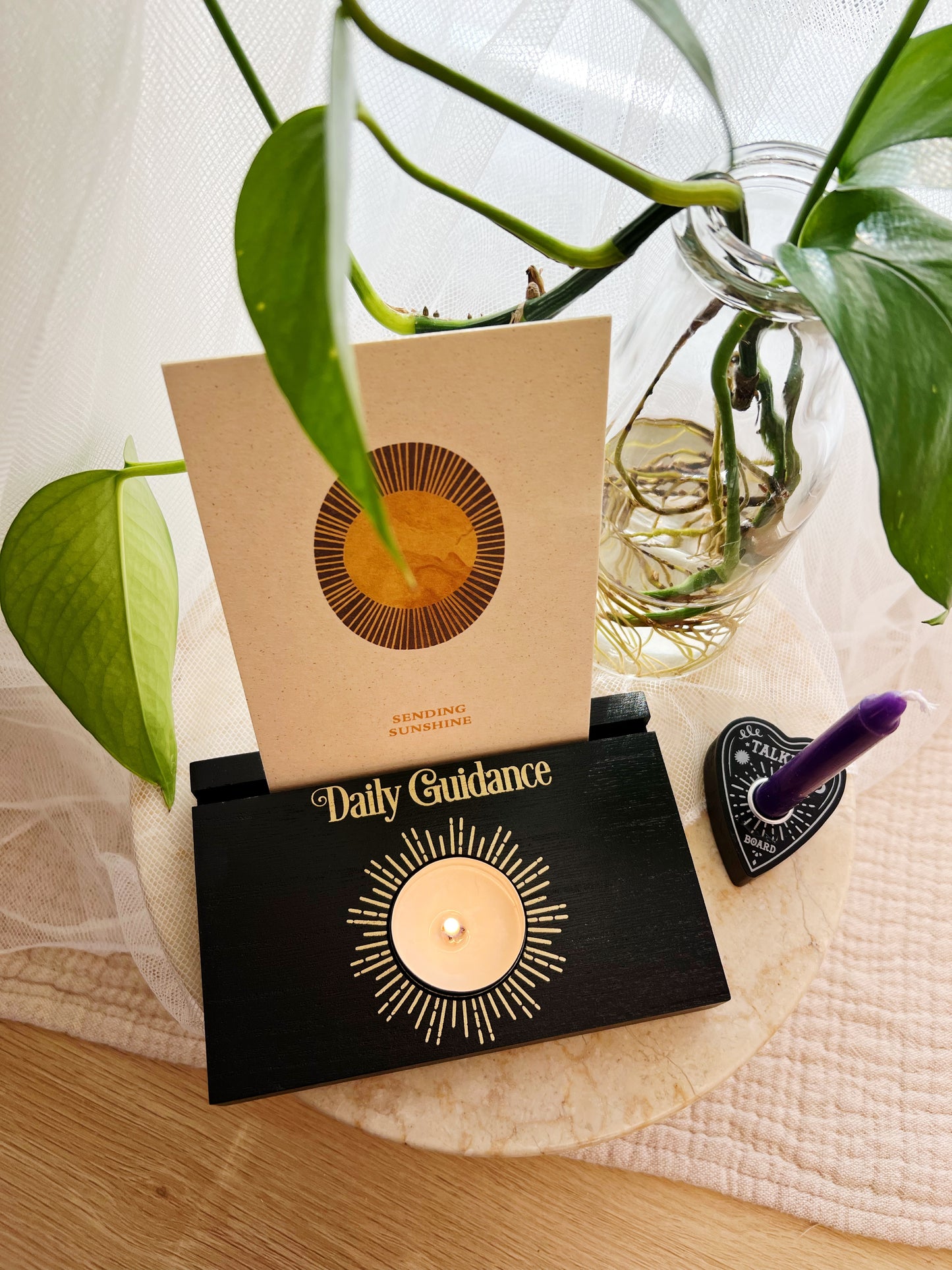 Daily Guidance Med Telysholder