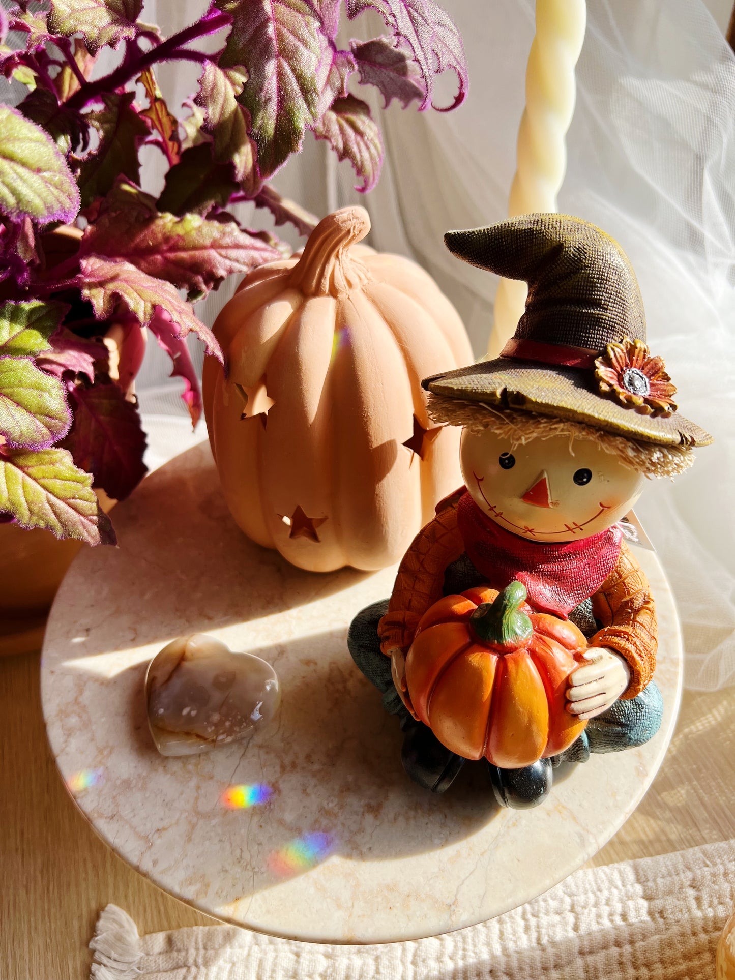 Harvest Scarecrow Stor