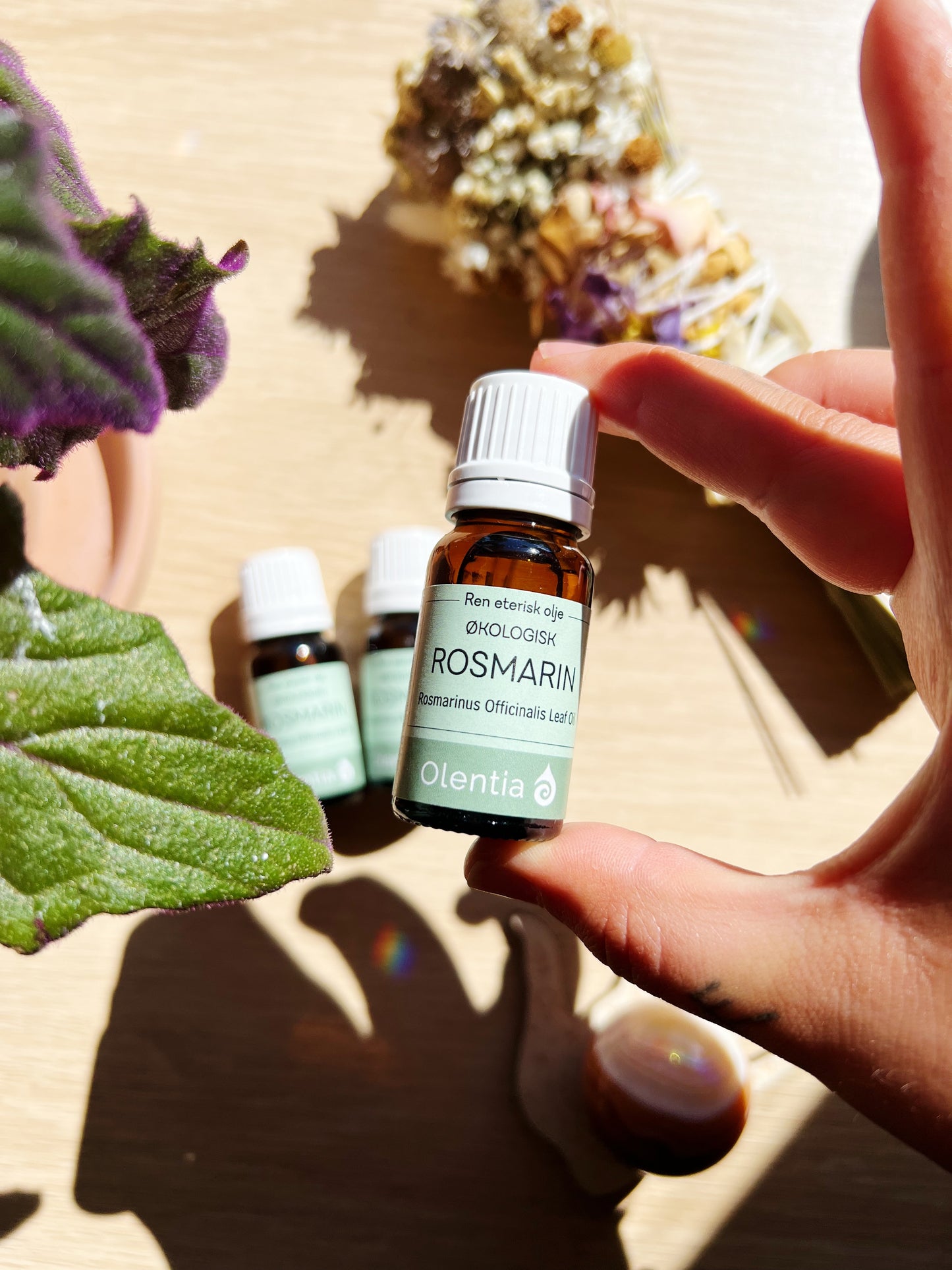 Rosmarin eterisk olje, økologisk 10 ml
