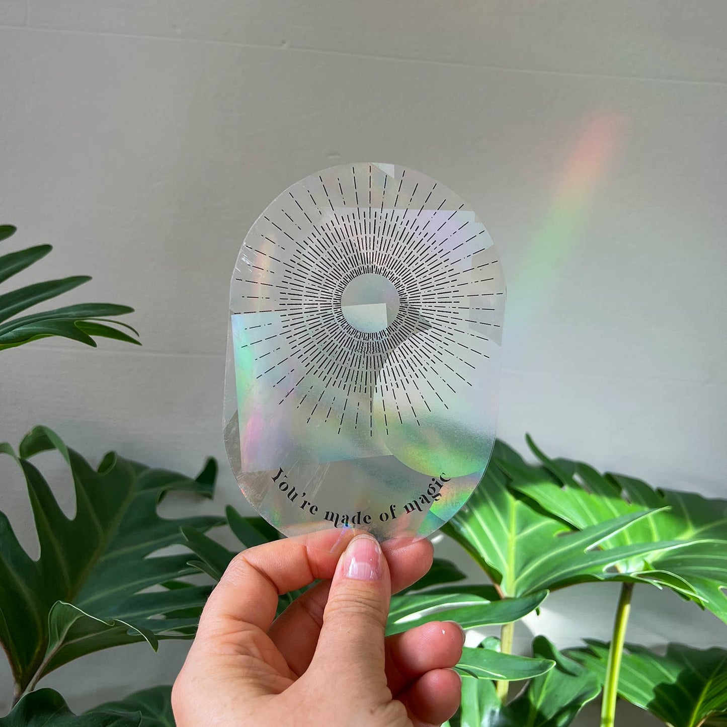Suncatcher - You're made of magic