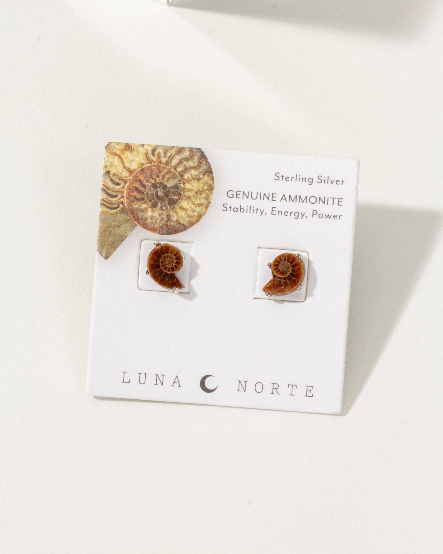 Ammonite Øredobber