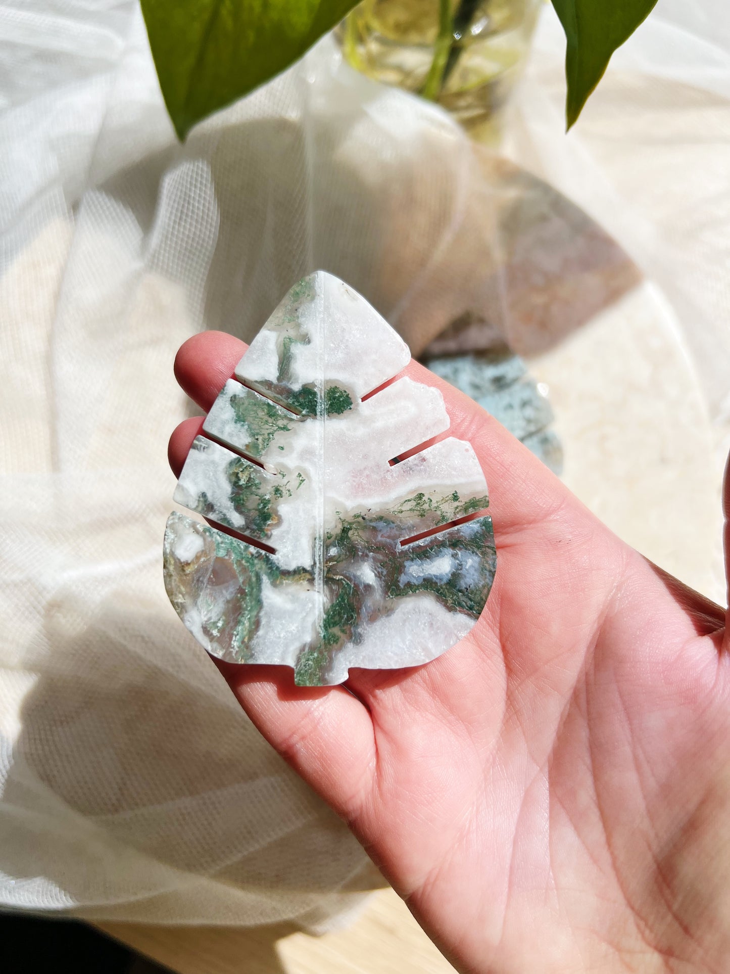 Druzy Mos Agat Monstera Leaf (8 x 5.5 cm 50g)