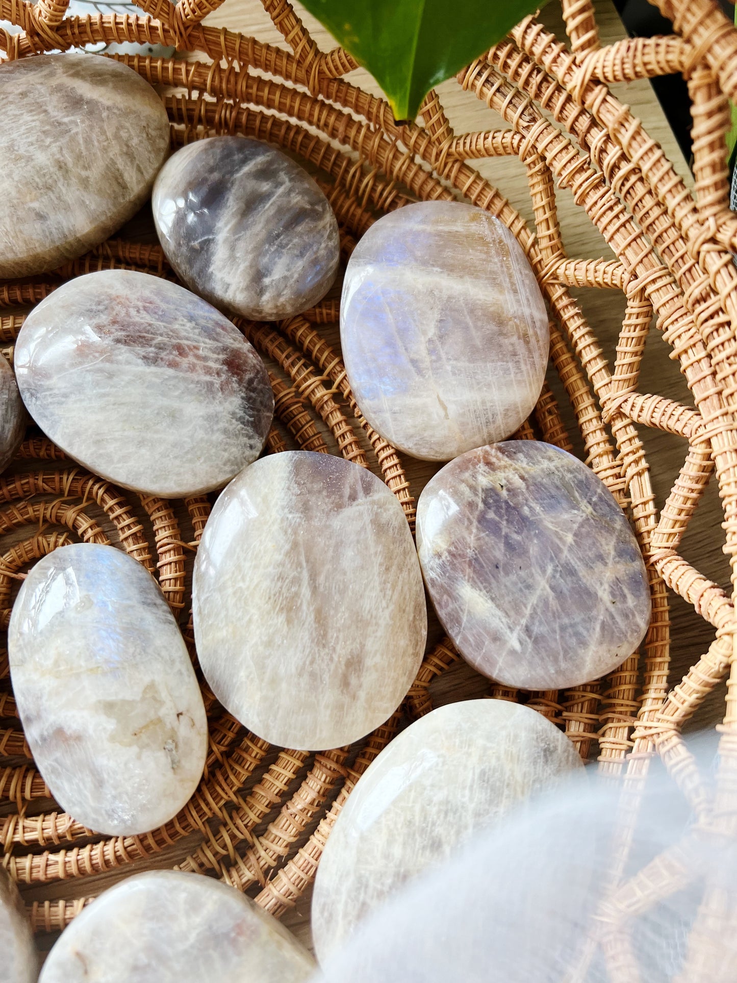 Månestein Palm stone