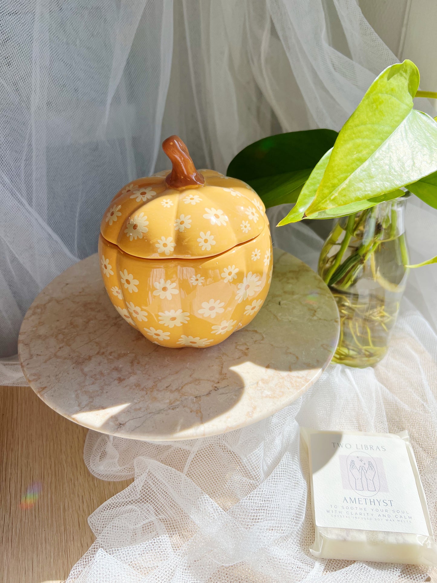 Groovy Pumpkin olje/Wax melt Brenner