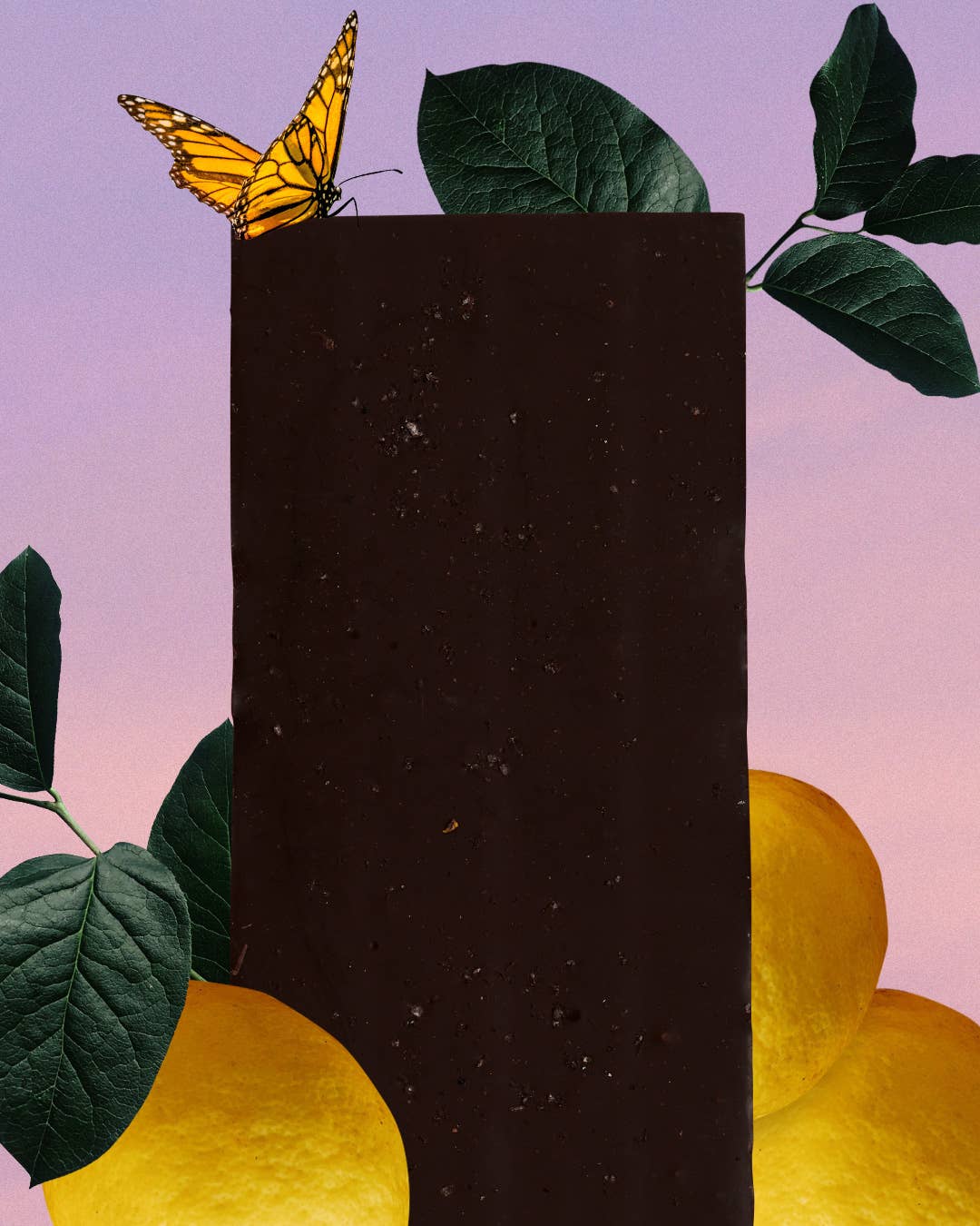 Mørk Sjokolade : Lemon & Ginger: Morning cleanse