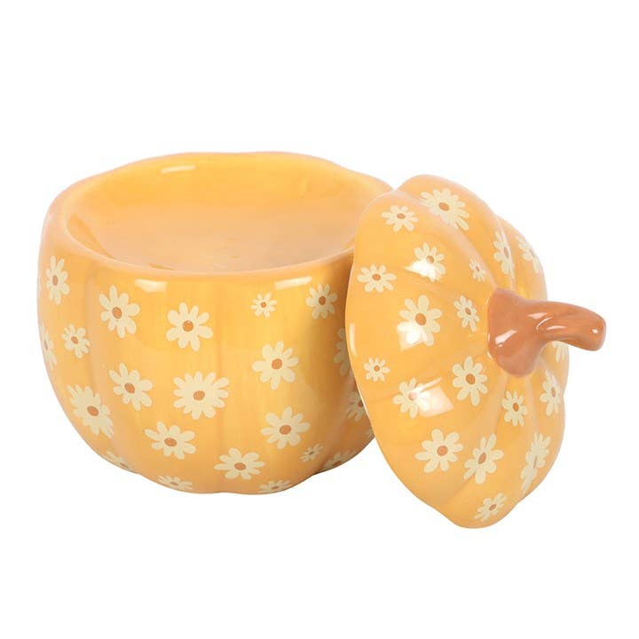 Groovy Pumpkin olje/Wax melt Brenner