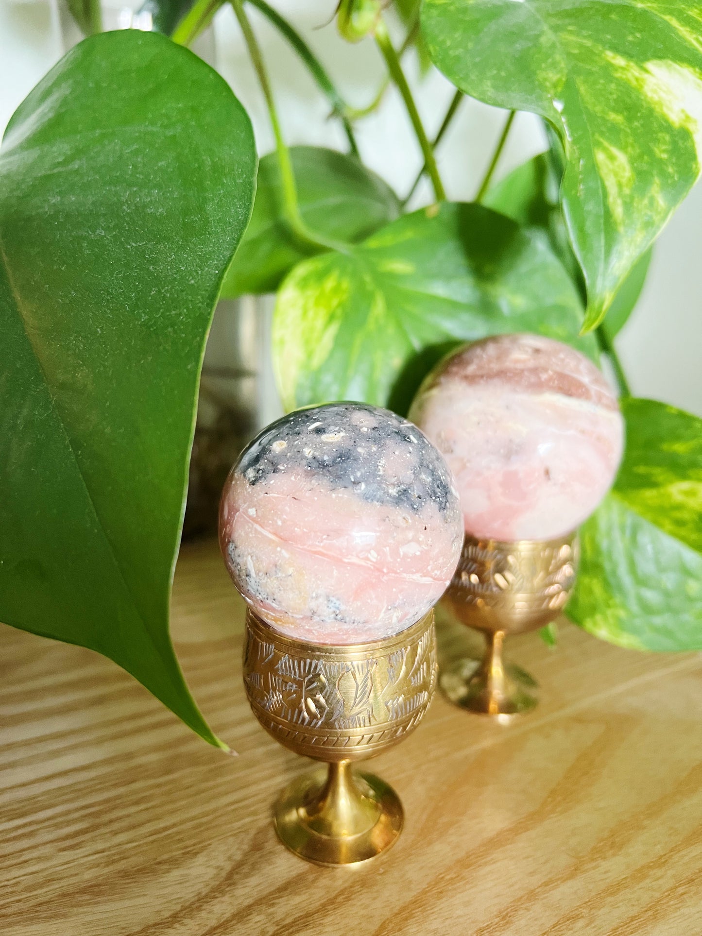Rosa Opal Kuler