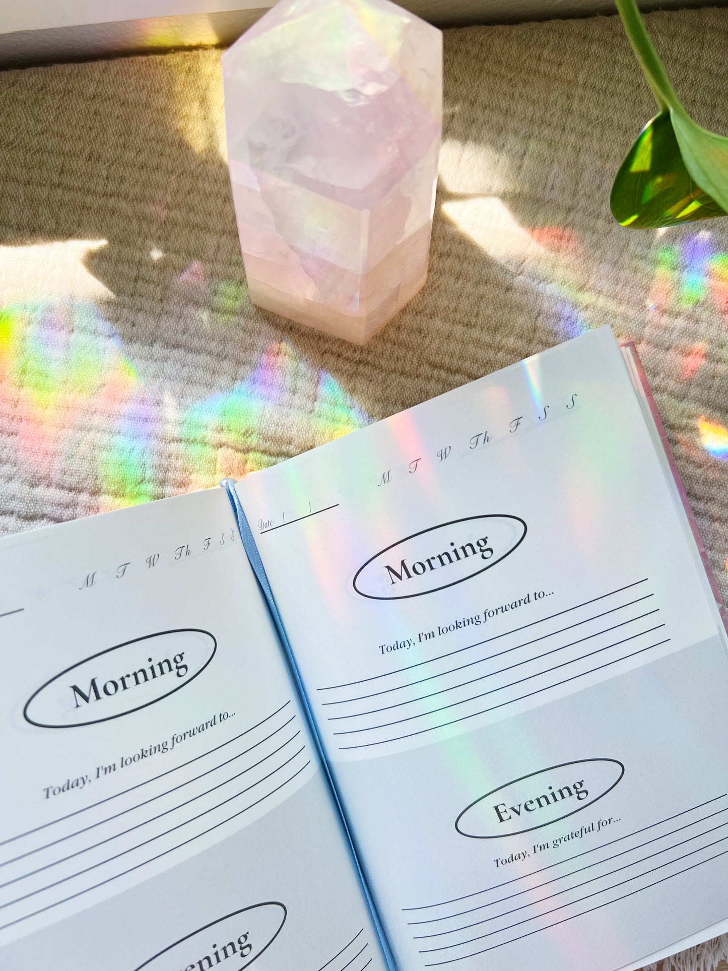 Hot Girls Are Grateful Girls Gratitude Journal