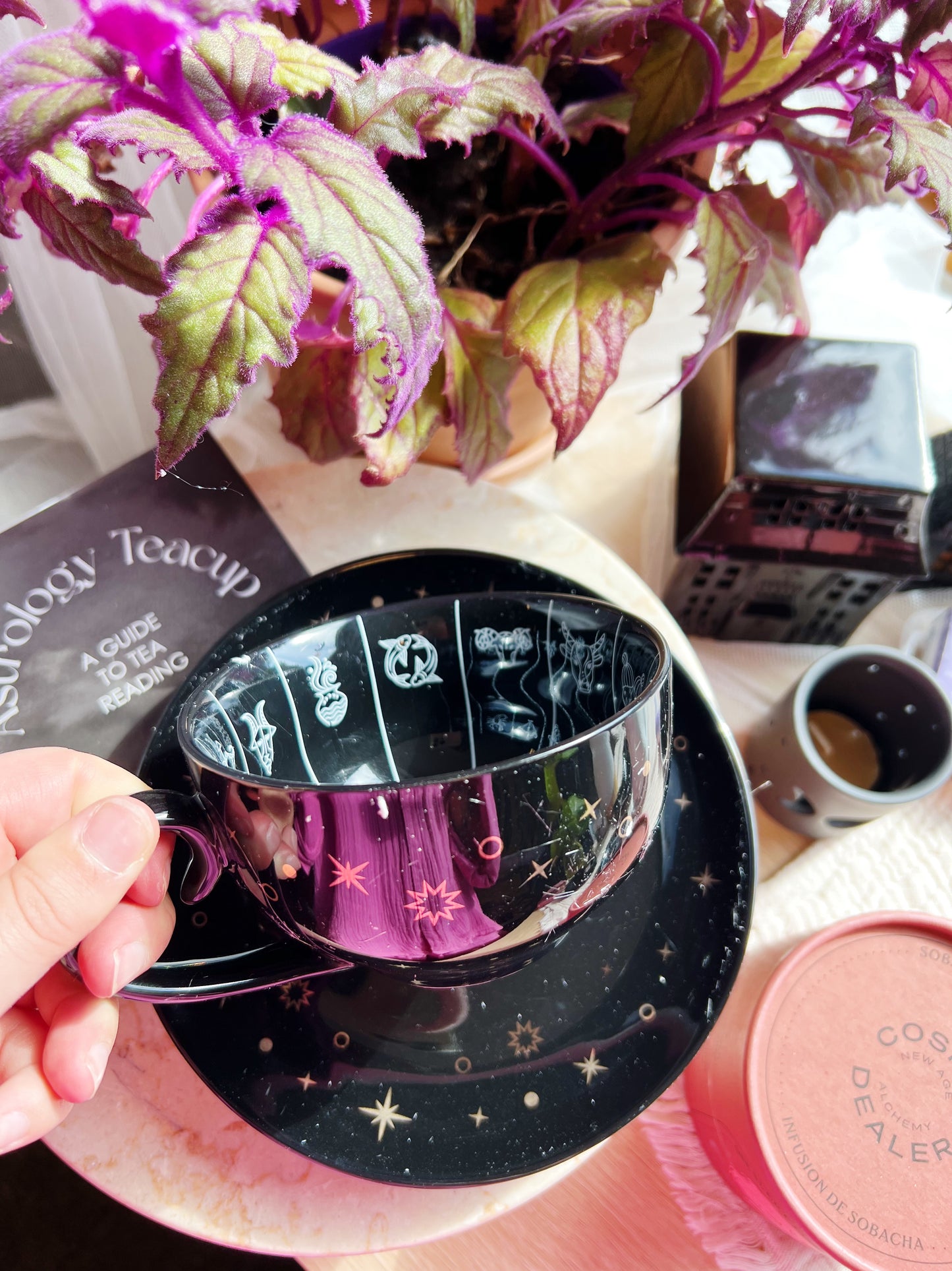 Astrology Fortune Telling Tekopp