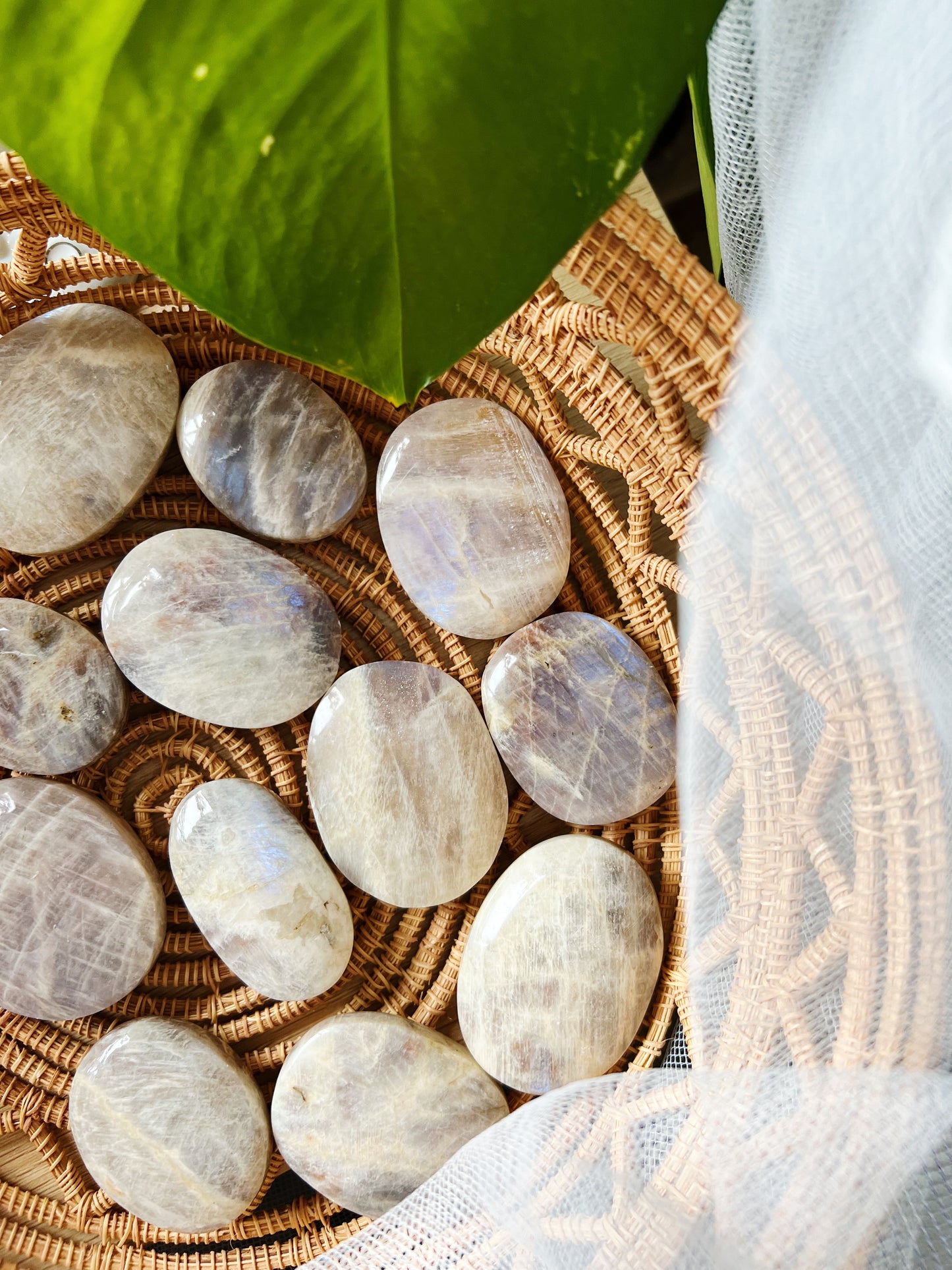 Månestein Palm stone
