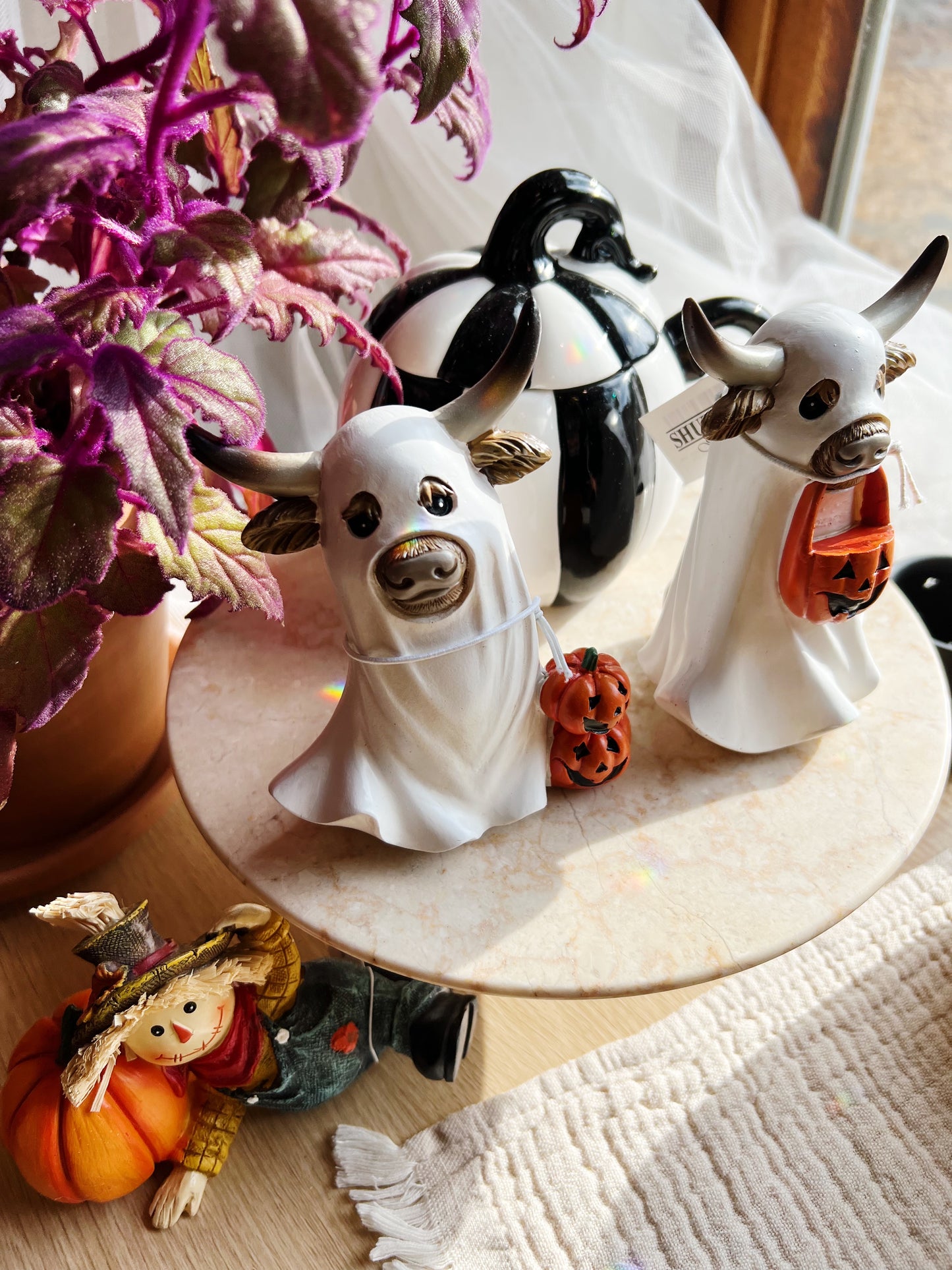 Halloween Spøkelses-Kuer
