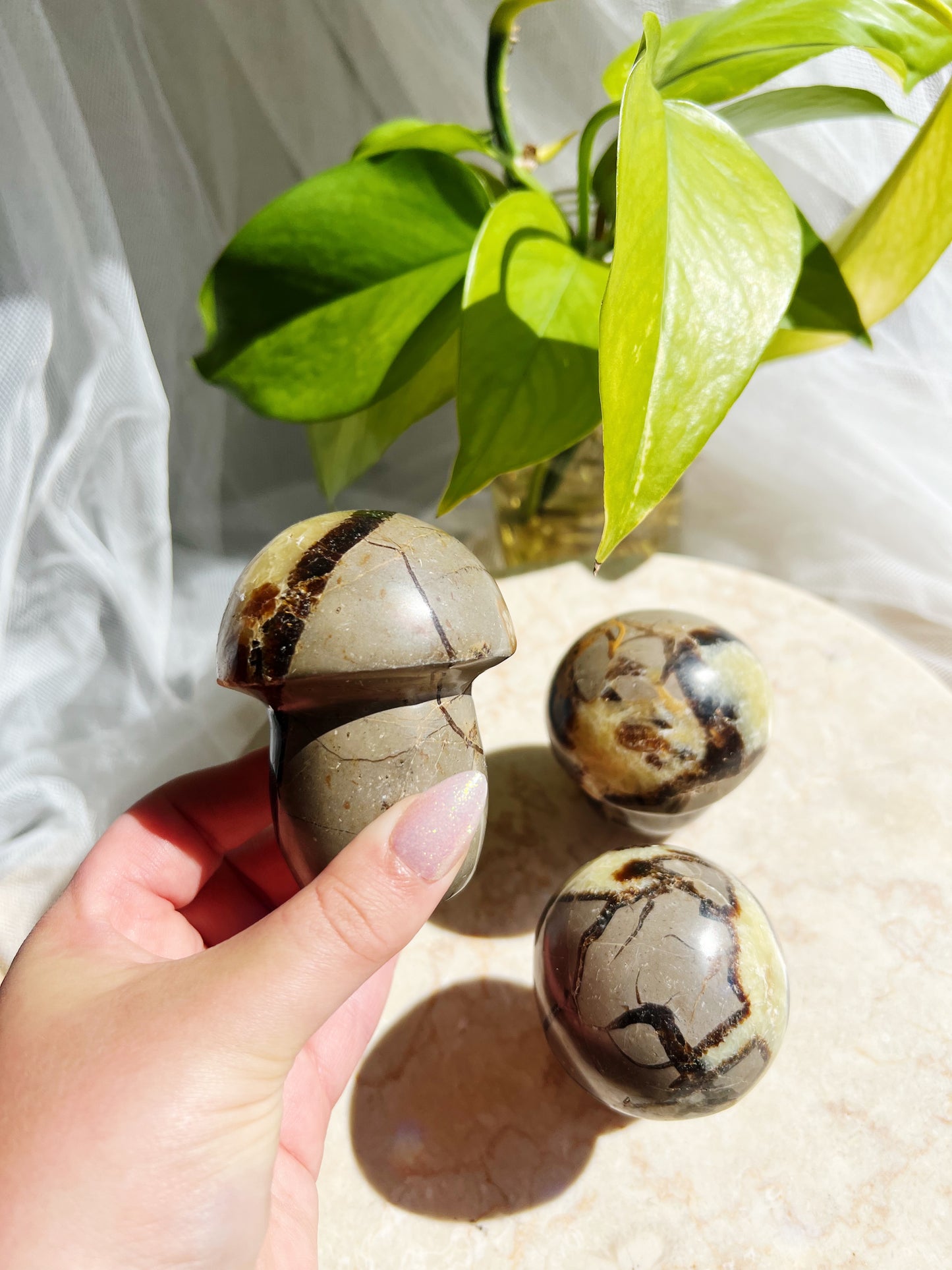 Septarian Krystallsopp 200g