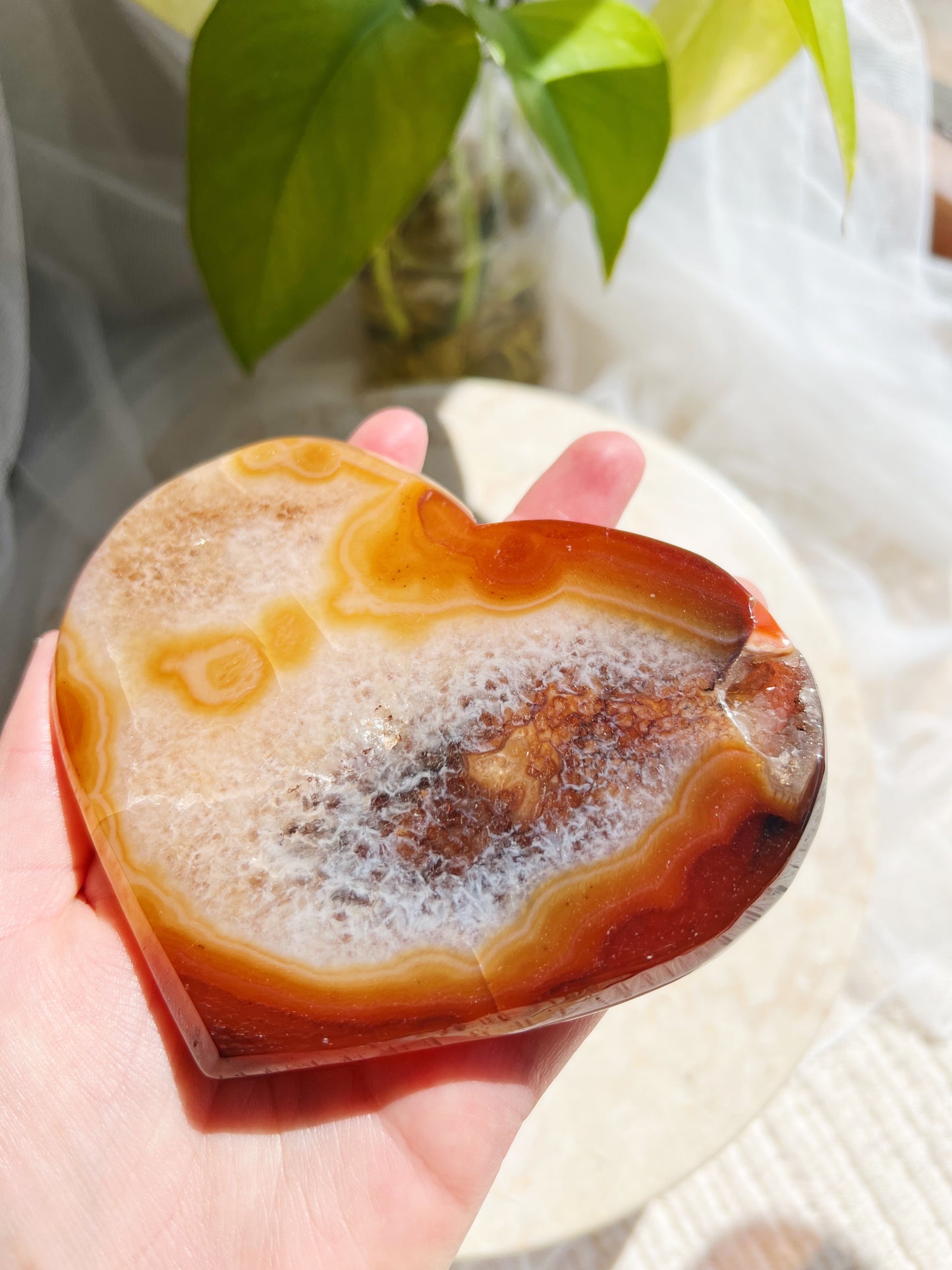 Karneol Druzy Hjerte på stativ #13 217g