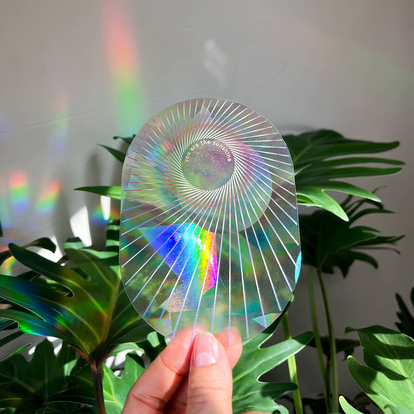 Suncatcher - You are the sunshine
