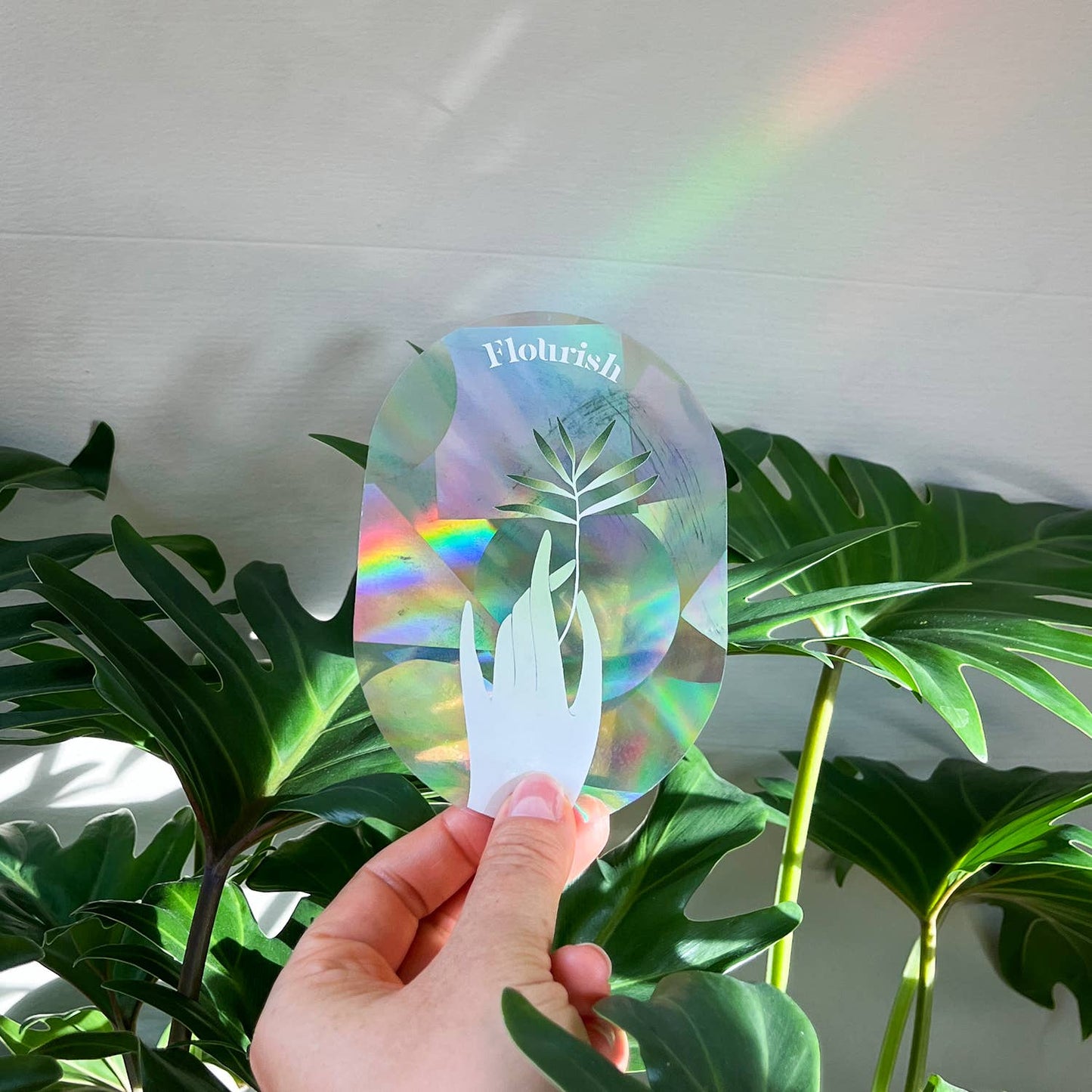 Suncatcher - Flourish
