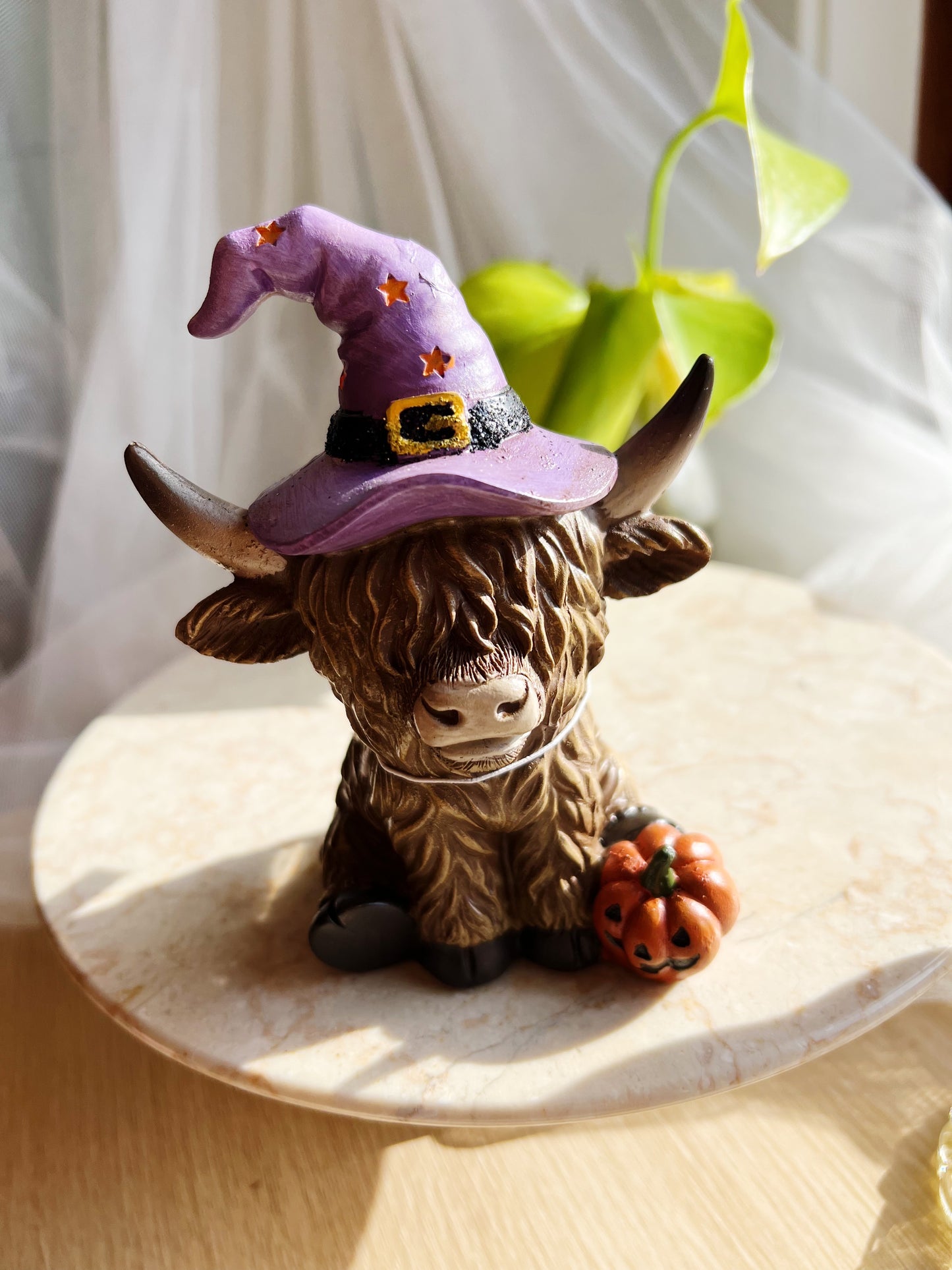 Halloween-Kuer