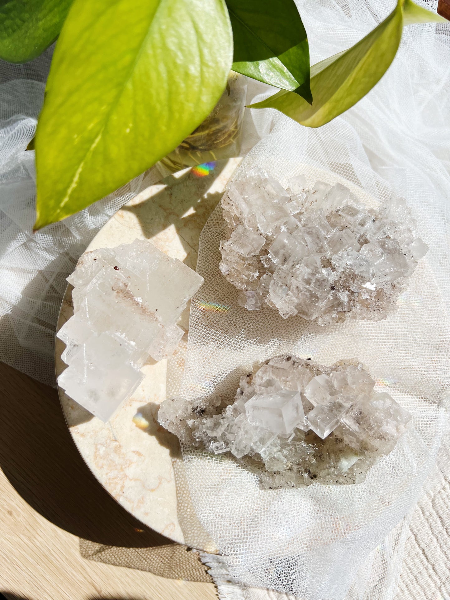 Halitt : 300g