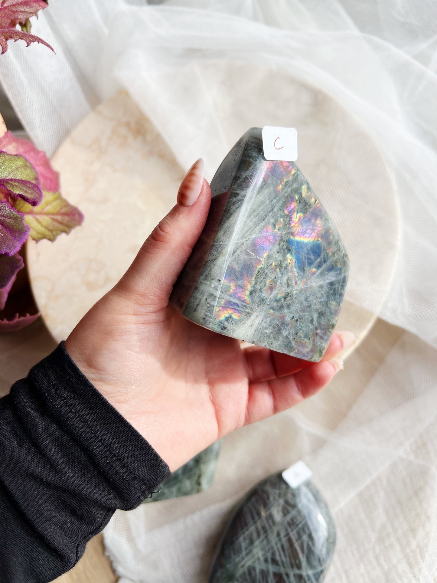 Labradoritt Freeforms – 410-489g