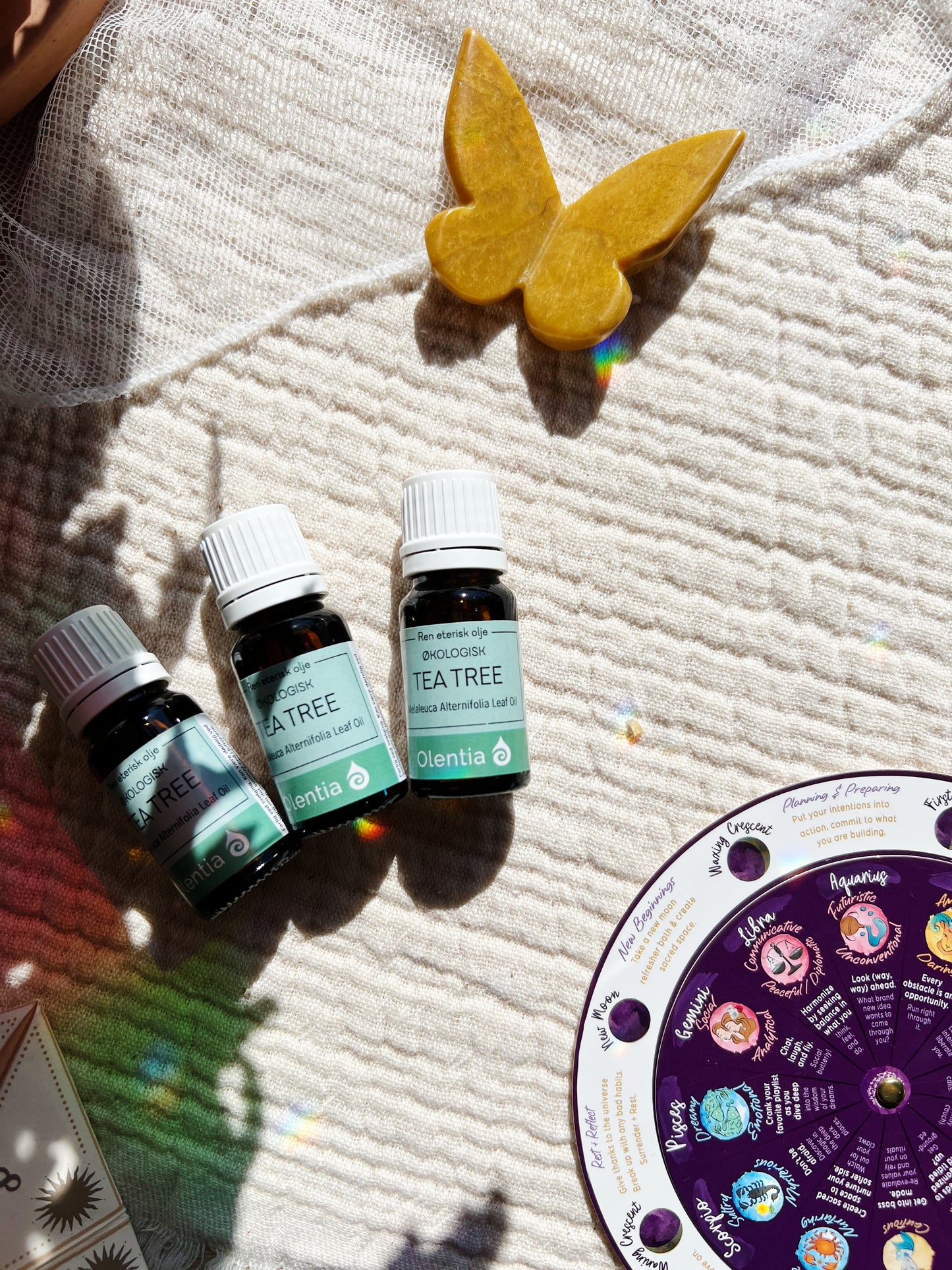 Tea Tree – Økologisk Eterisk Olje