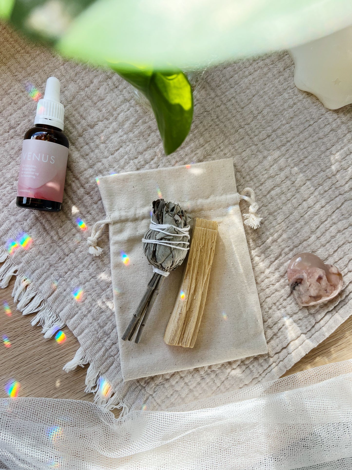 Palo Santo og Salvie Kit