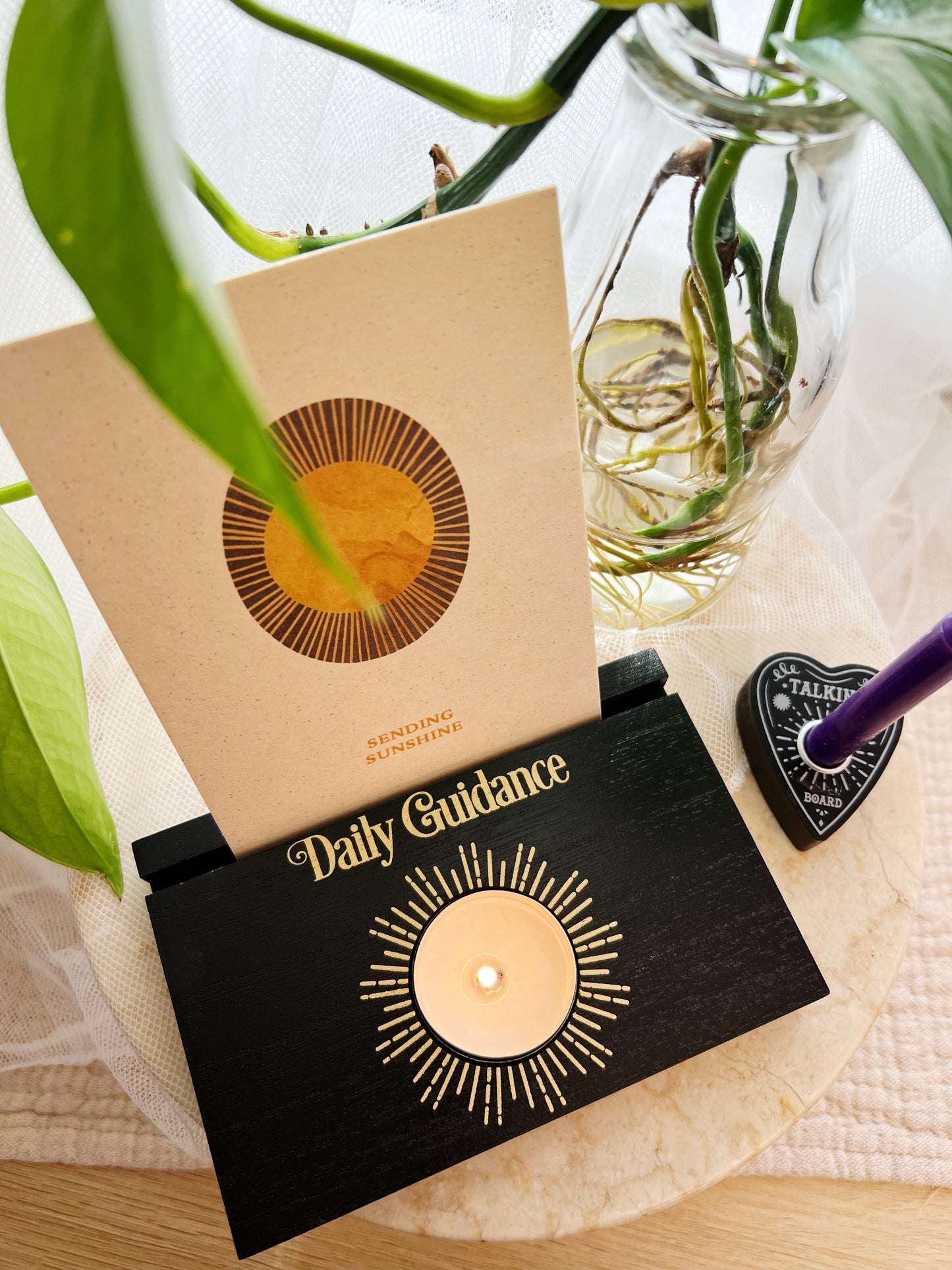 Daily Guidance Med Telysholder