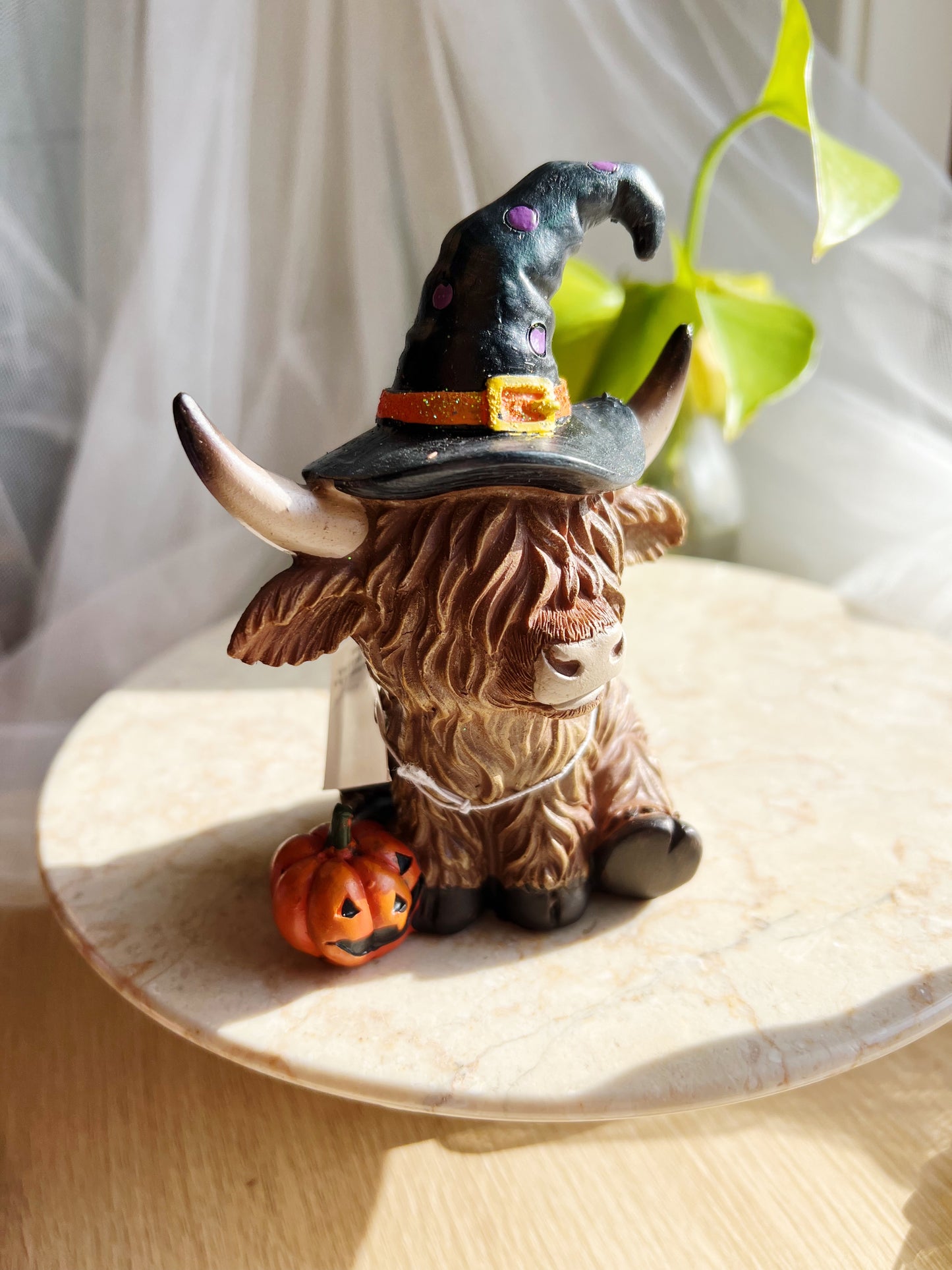 Halloween-Kuer