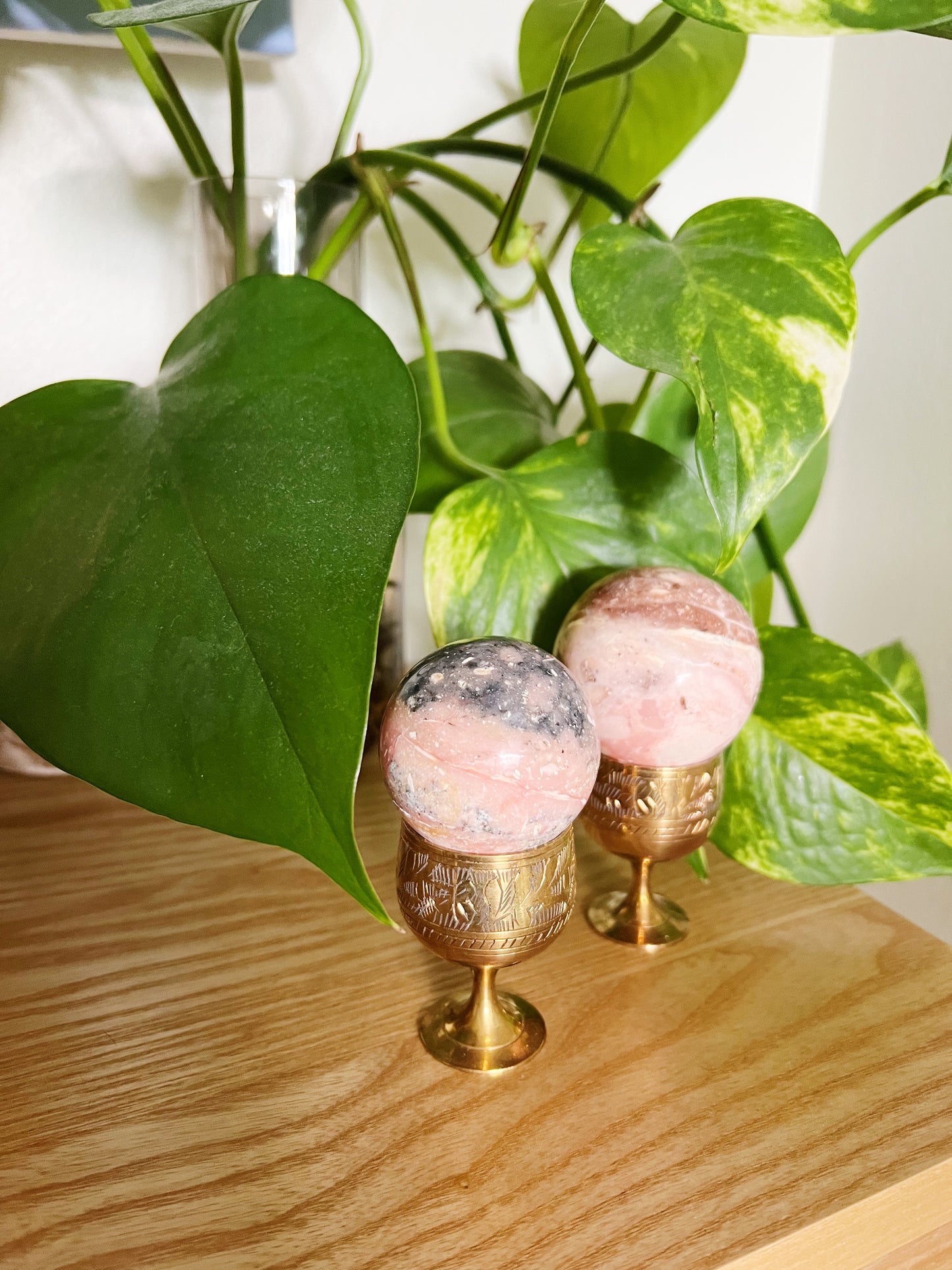 Rosa Opal Kuler