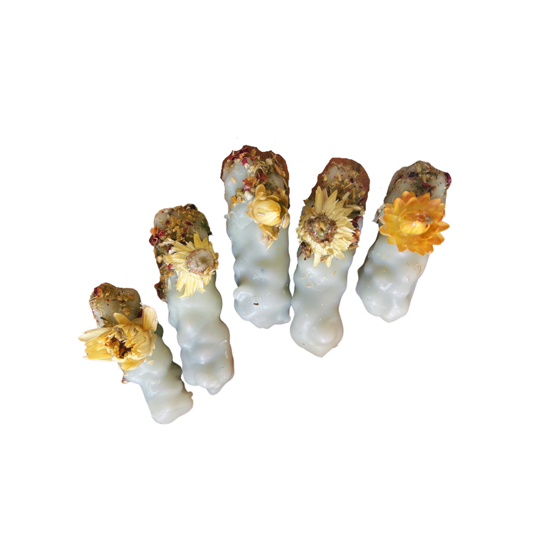 Mini Holly Mullein Hekselys