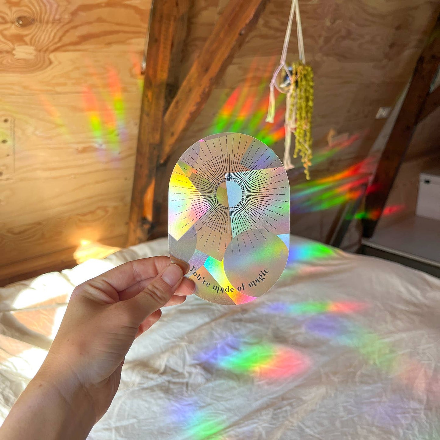 Suncatcher - You're made of magic