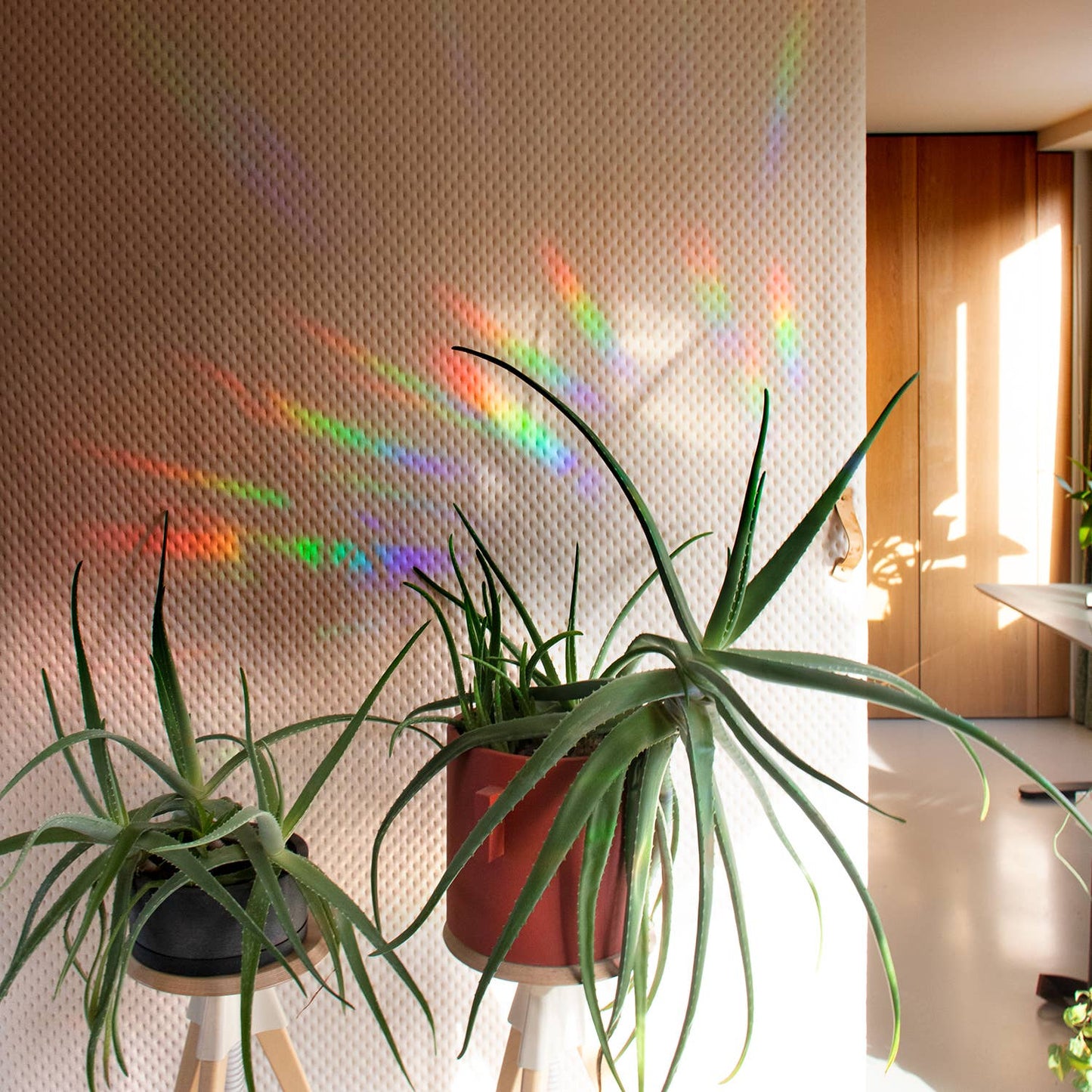 Suncatcher - Keep going to keep growing