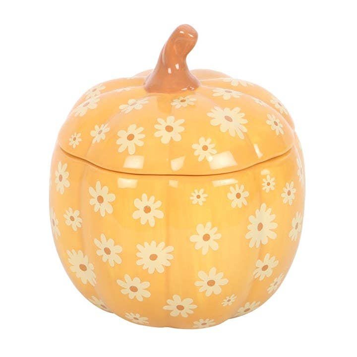 Groovy Pumpkin olje/Wax melt Brenner