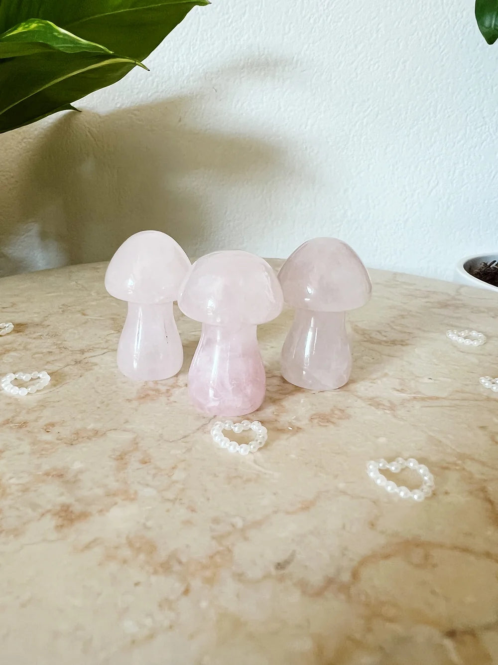 Mini sopp