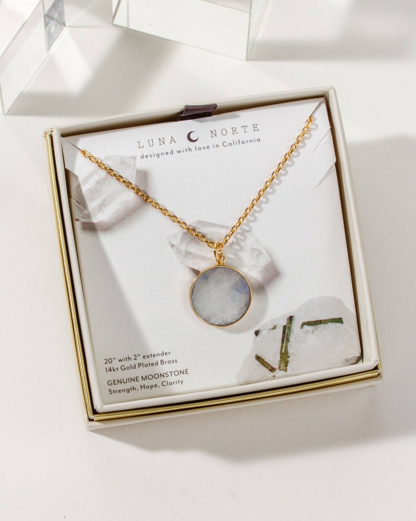 Afterglow Mini Long Medallion Halskjede - Moonstone