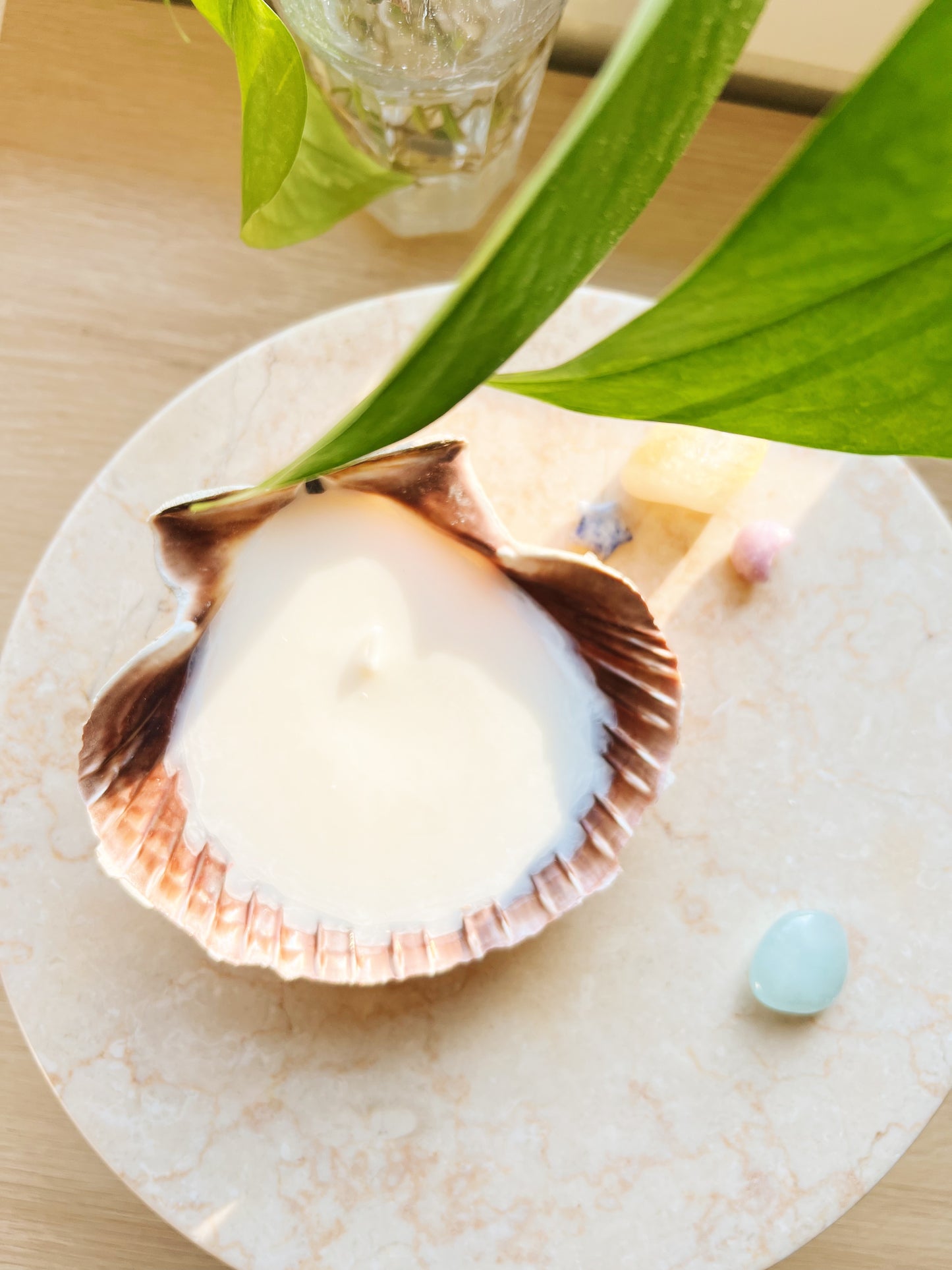 Sea Shell Candle